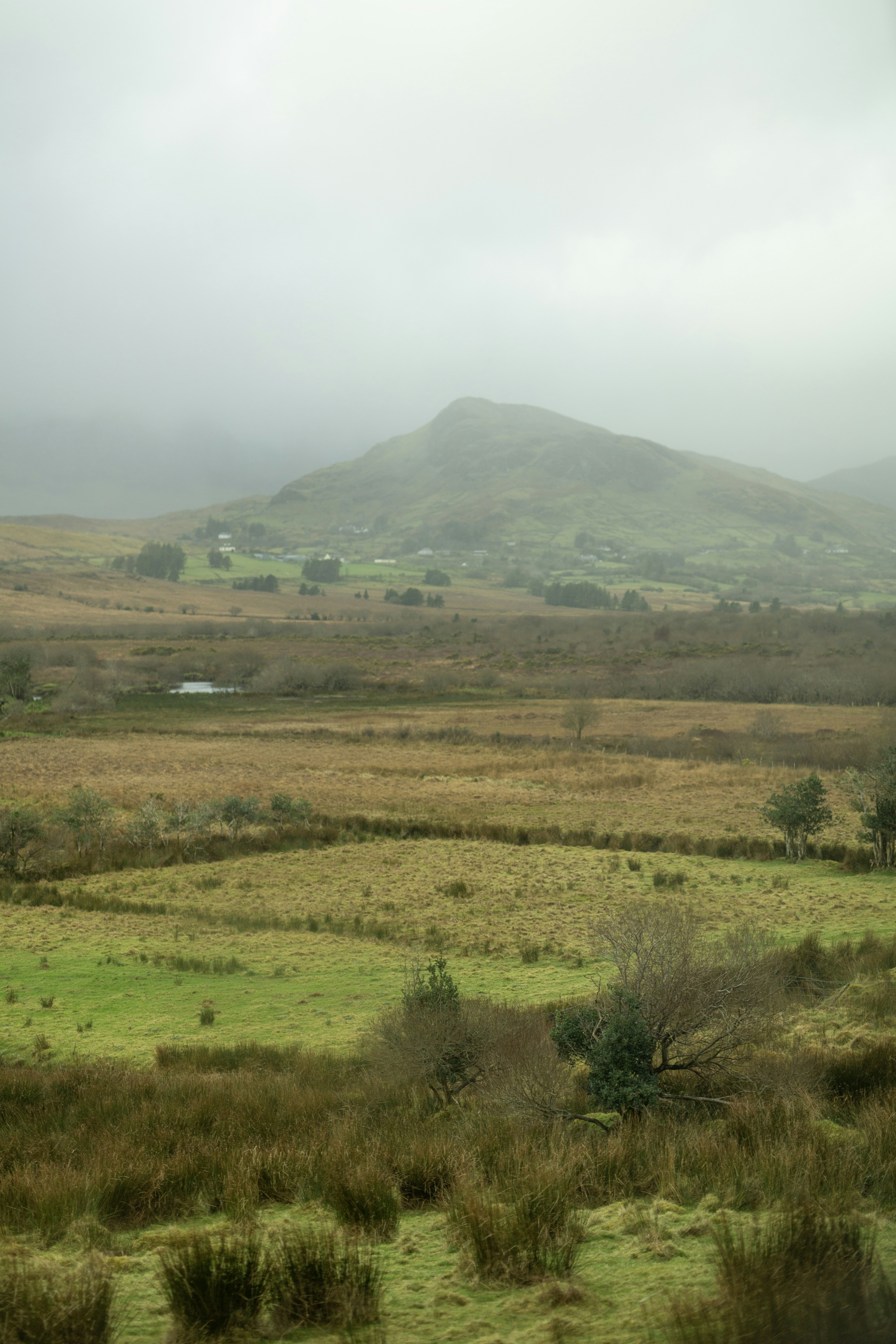 Misty mountains overlook rolling green and brown fields.