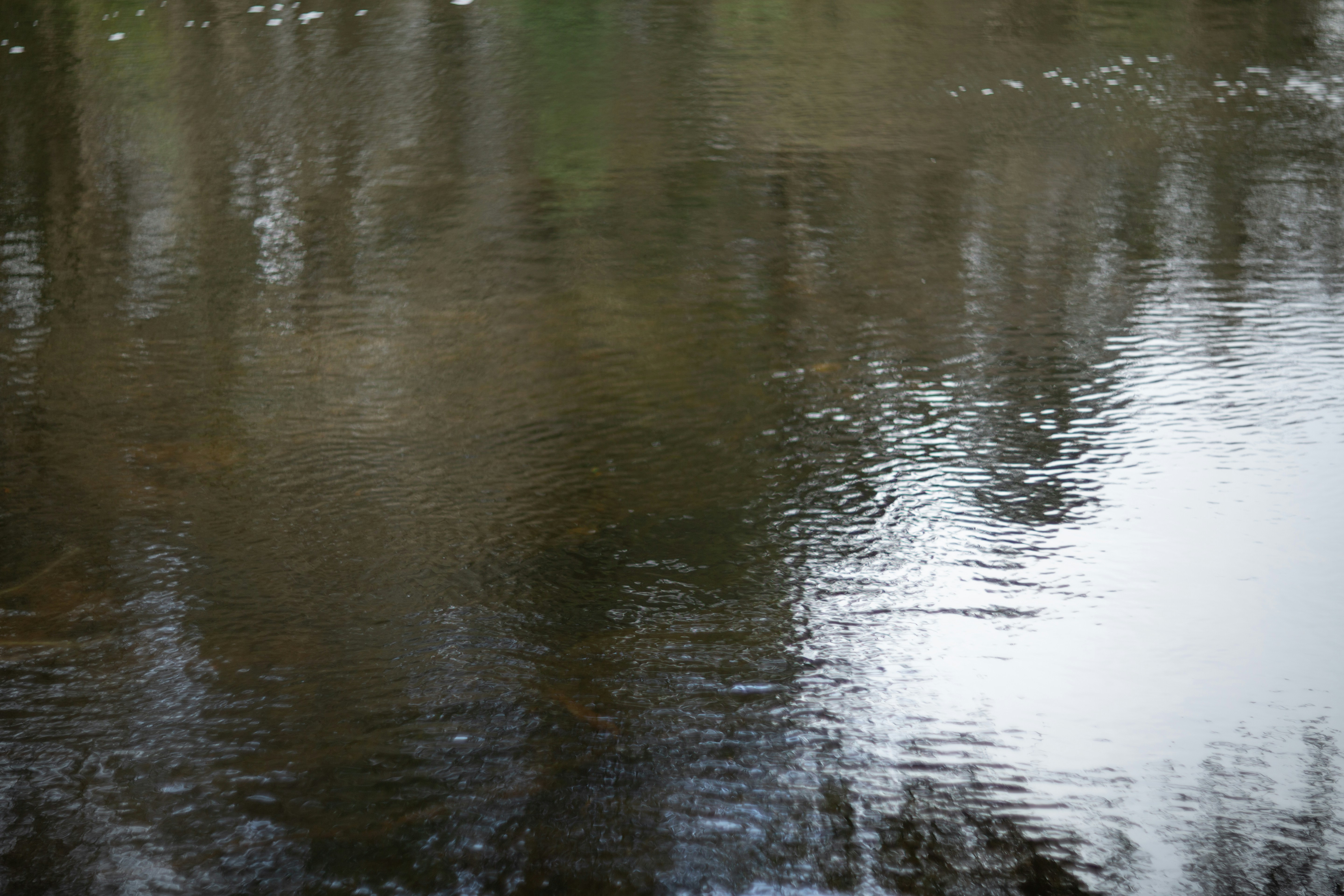 Reflections of trees on a dark, rippling water surface.