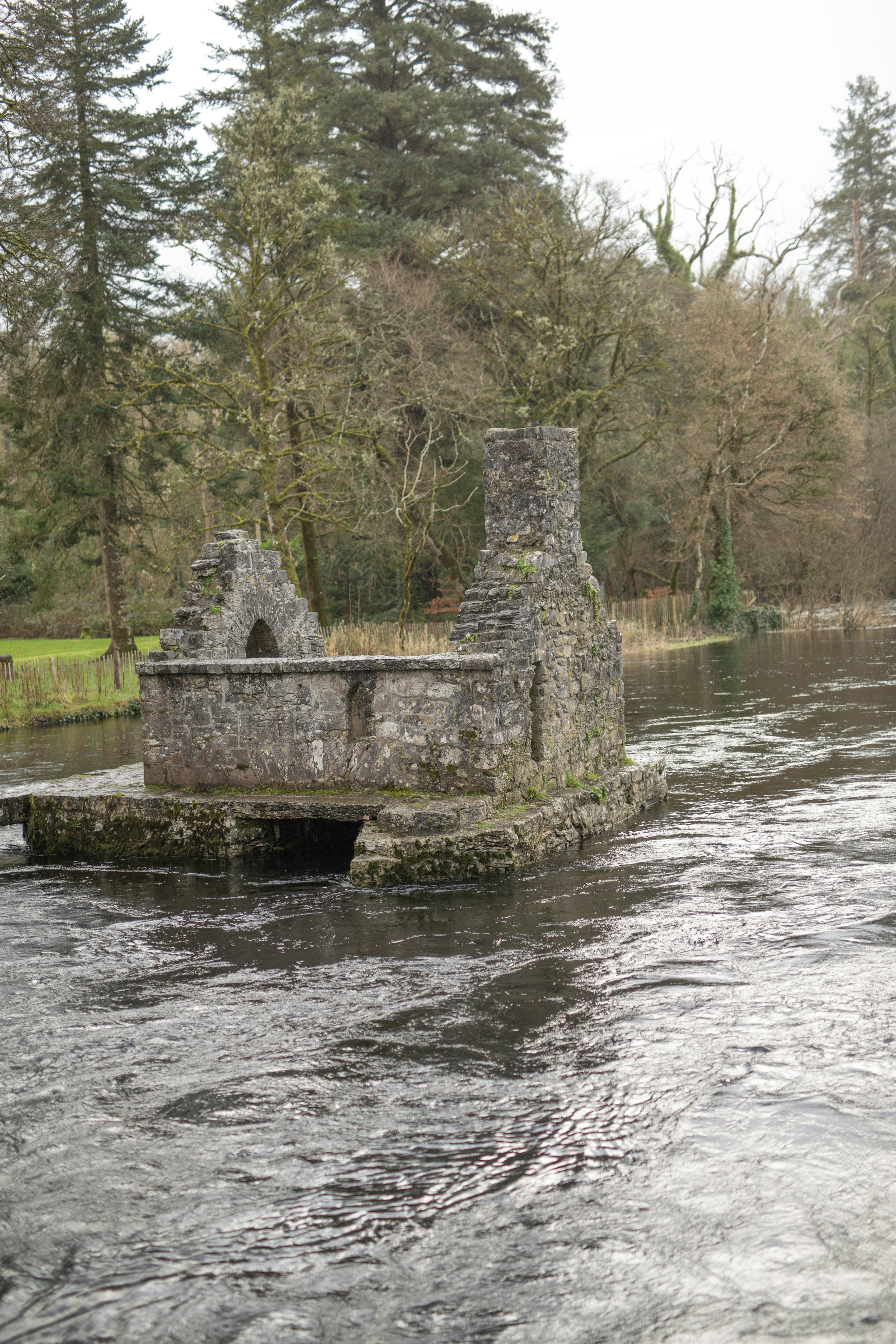 Stone ruins in a flowing river surrounded by trees