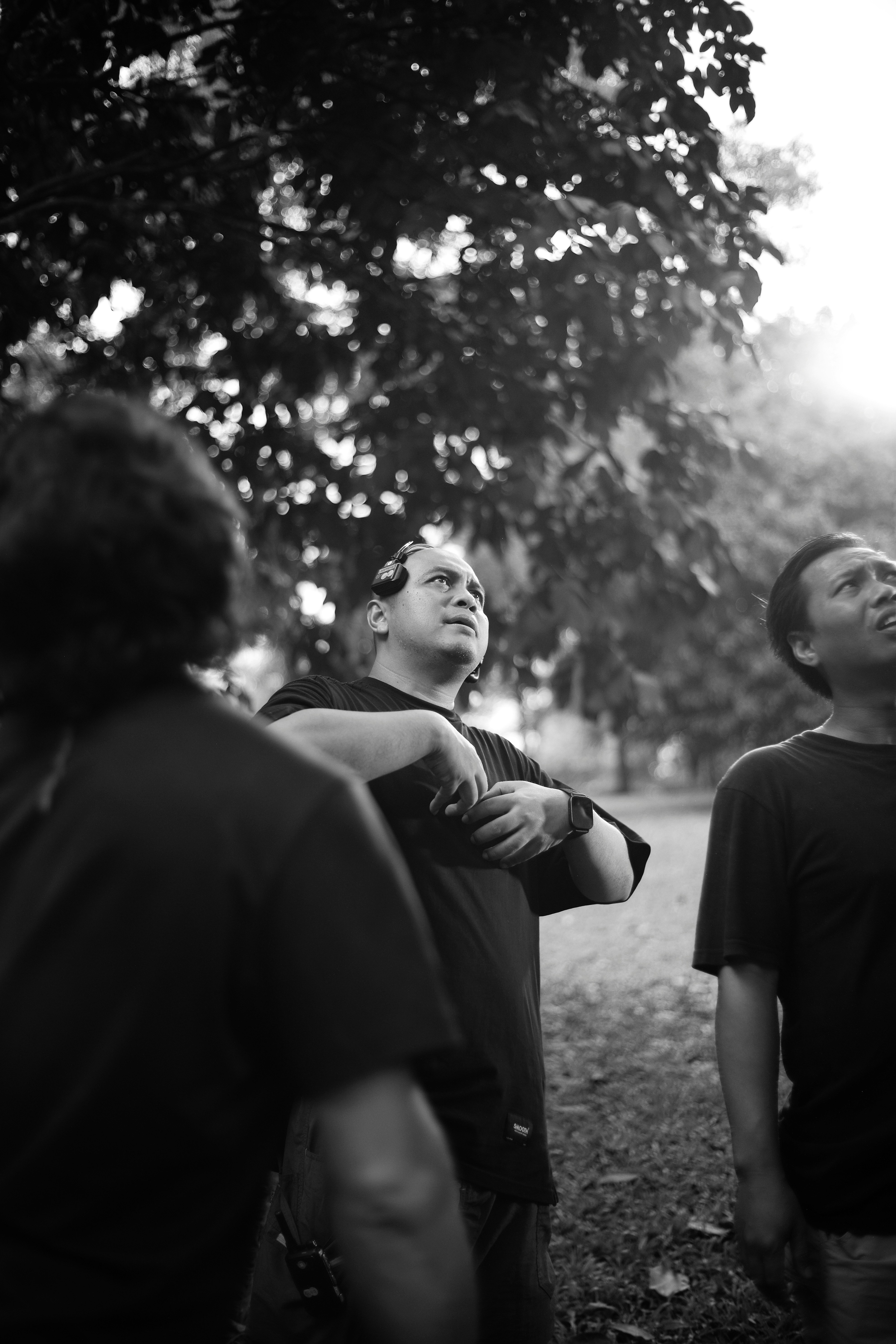Three men looking up in a park
