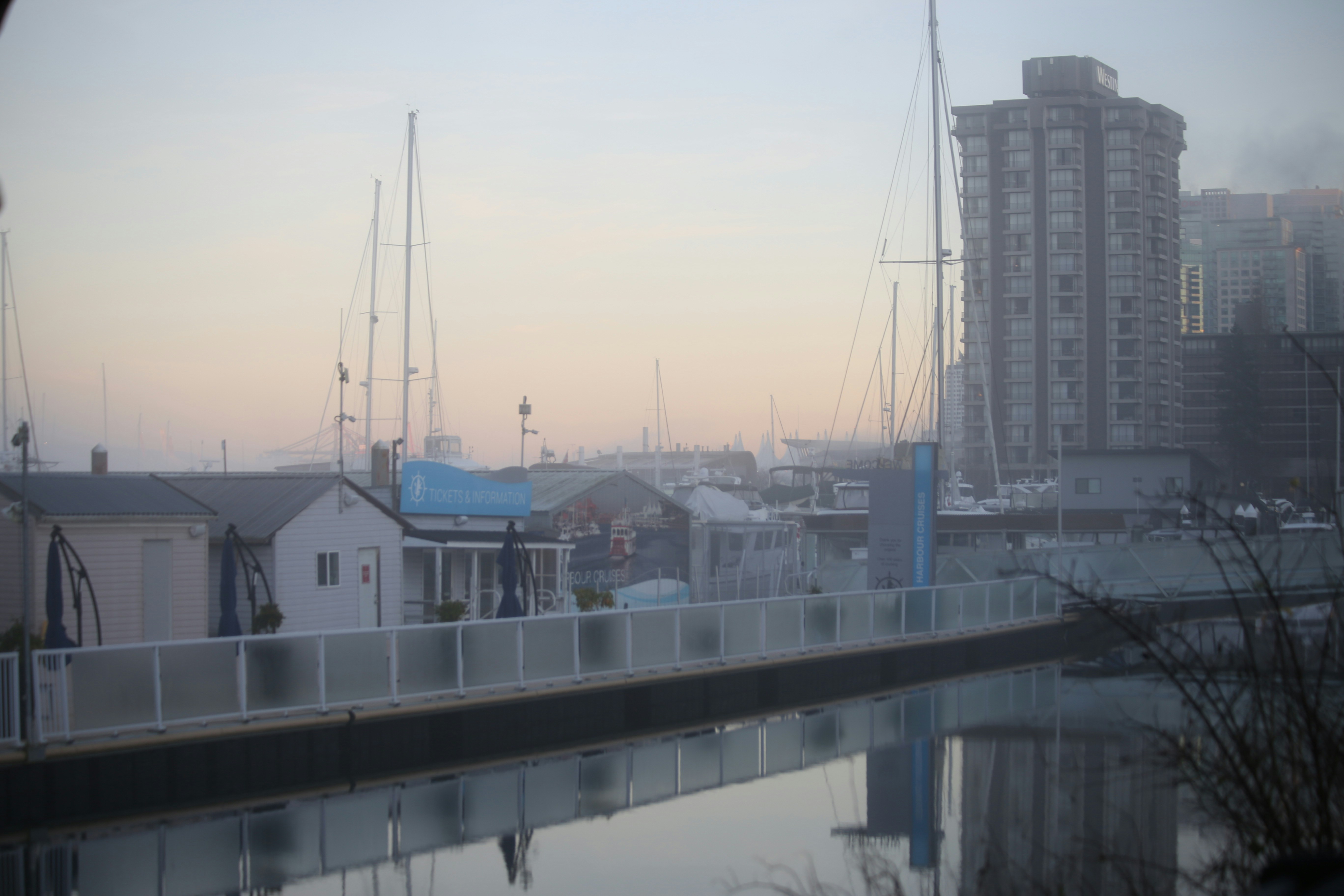 Boats docked in a foggy harbor with buildings in background.
