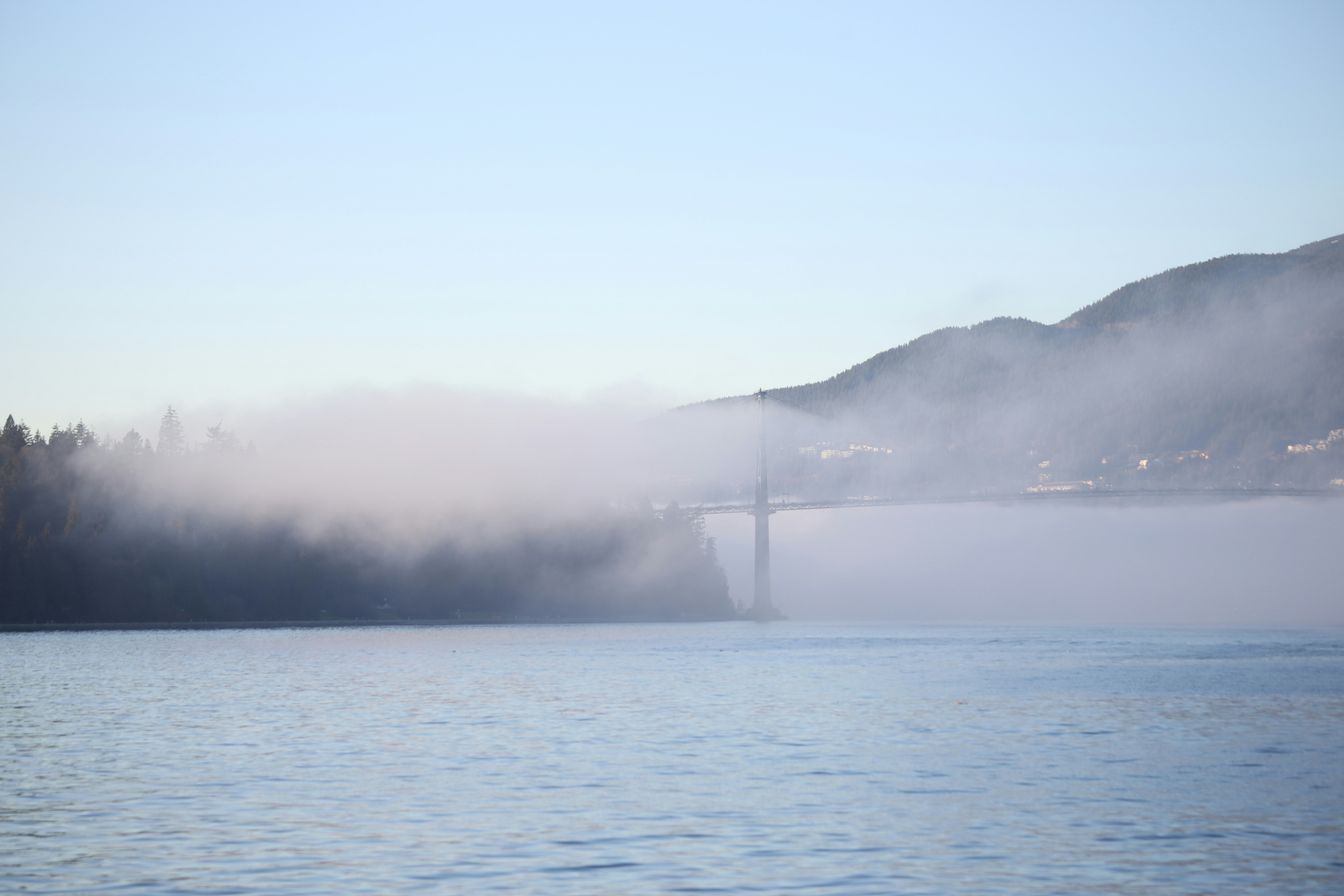Bridge partially obscured by fog over water