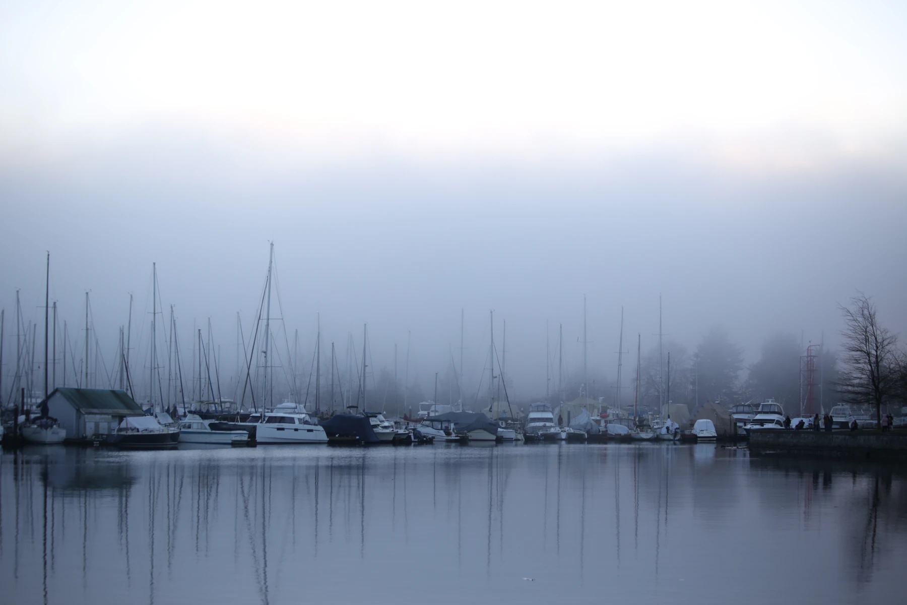 Sailboats resting in a foggy harbor on calm water