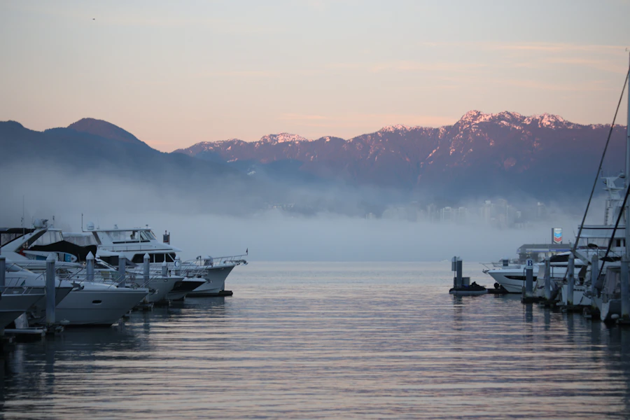 Vancouver harbour and mountains at dusk