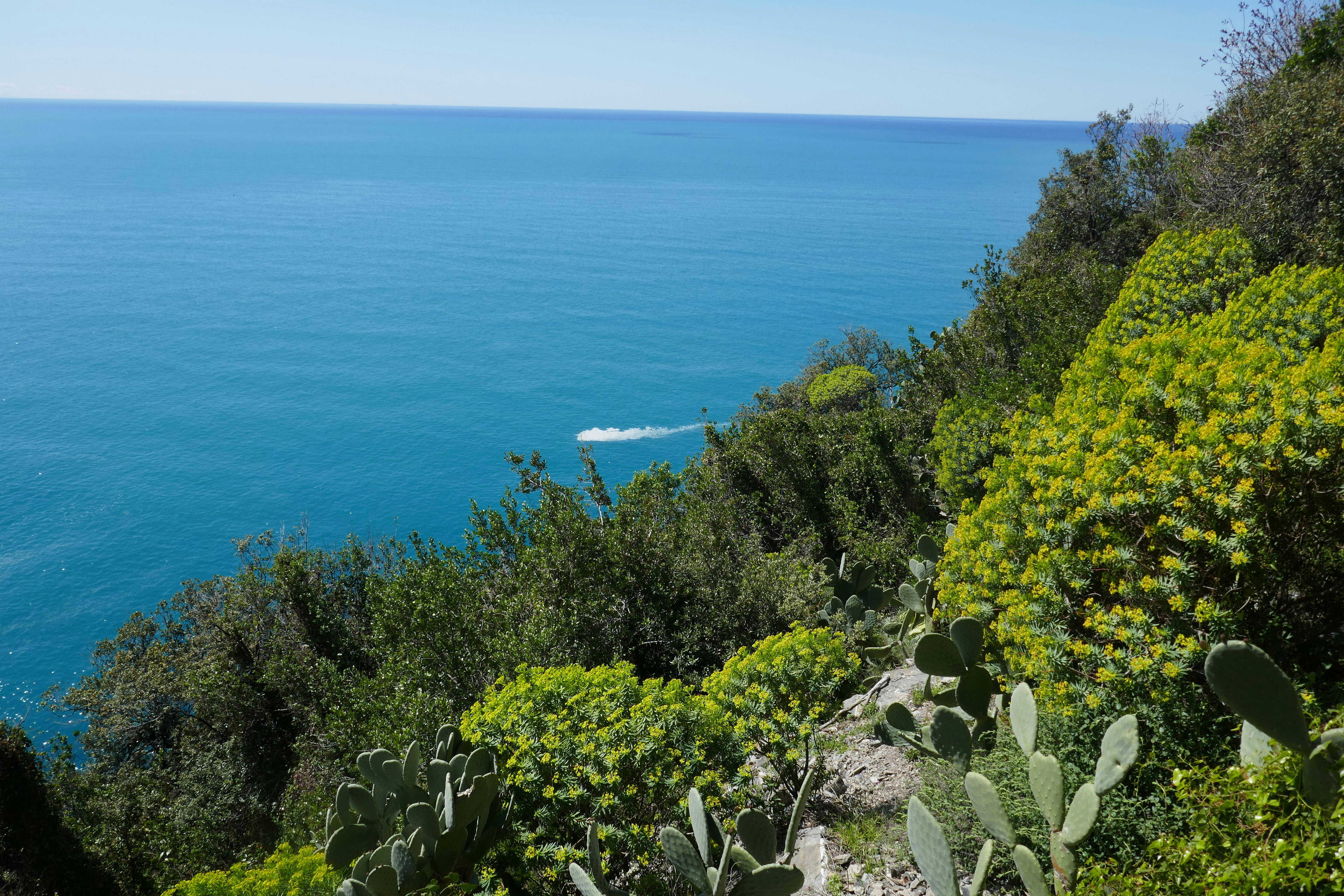 Photo by alexisribeyrecarnetdevoyage