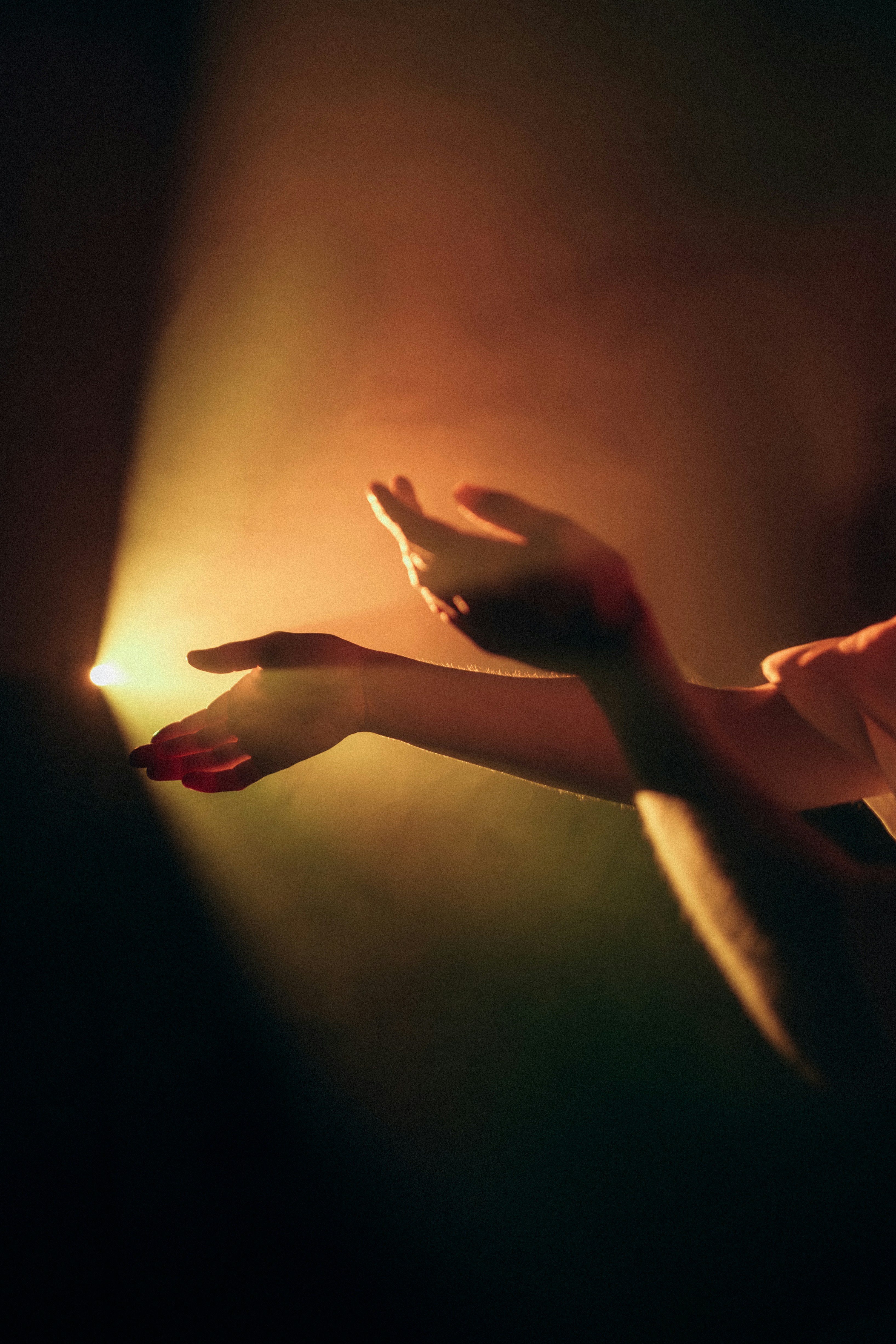어둠 속에서 따뜻한 스포트라이트를 향해 손을 뻗어