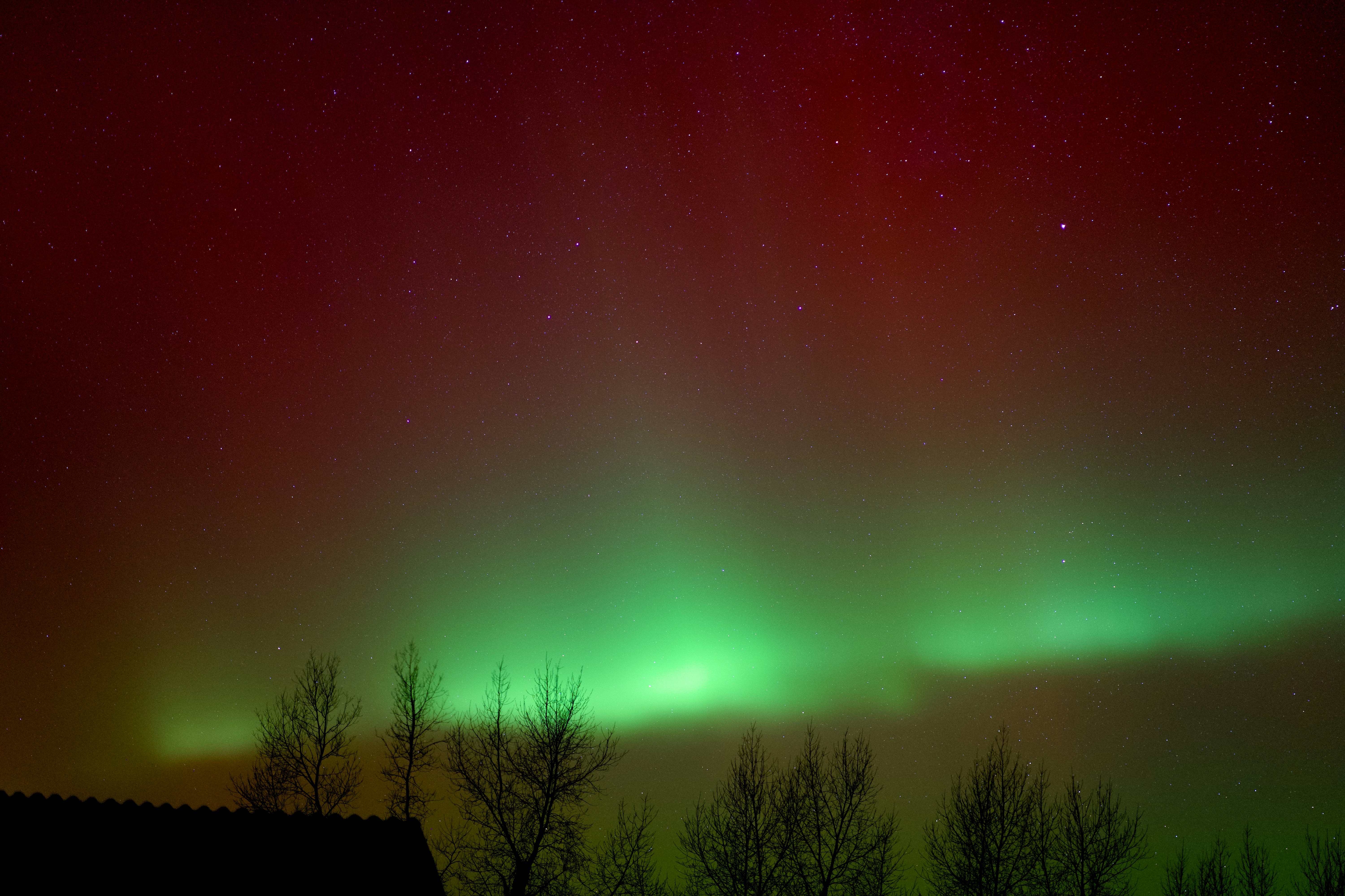 Green and red aurora borealis lights in the night sky.