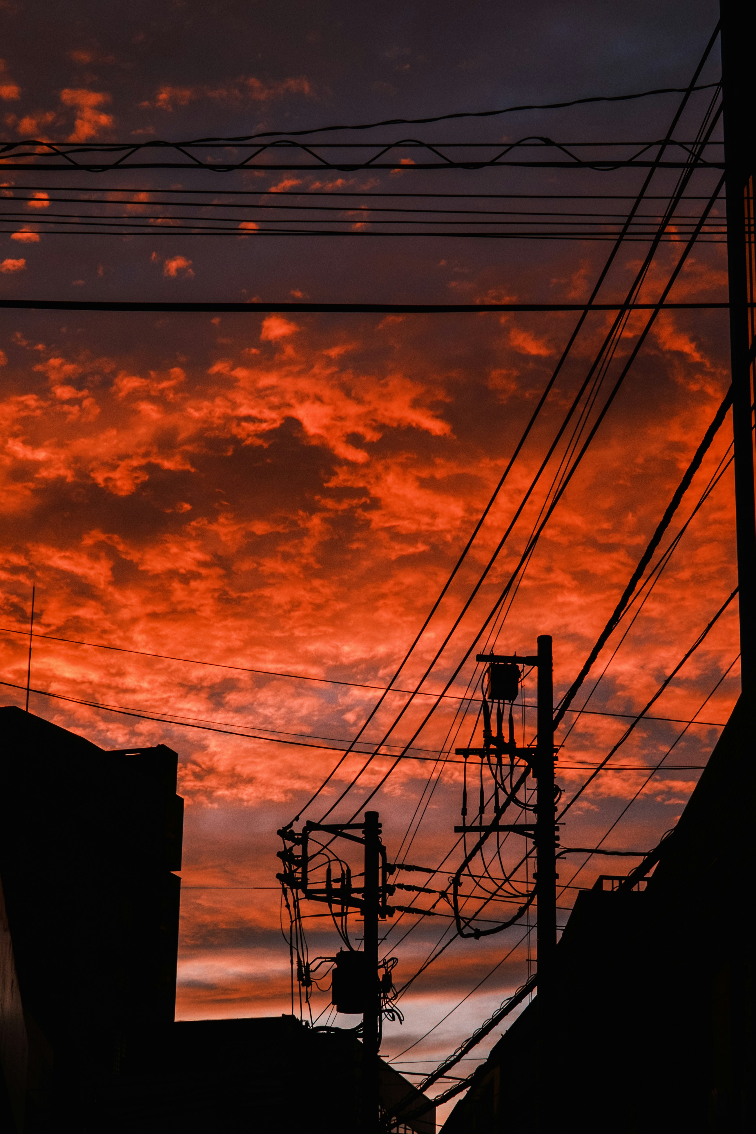 Photo by samwa95