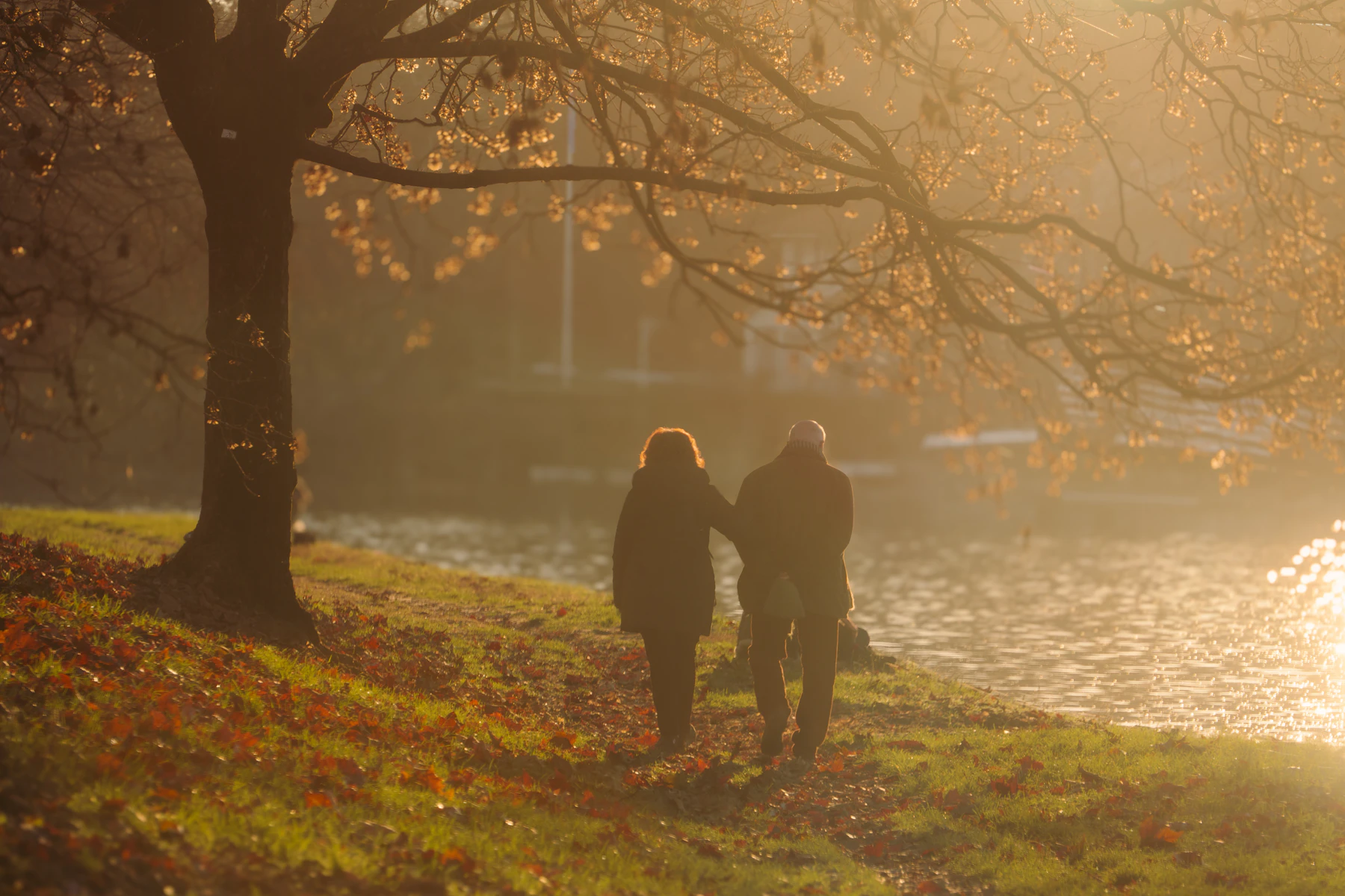 An elderly couple walking together in a park