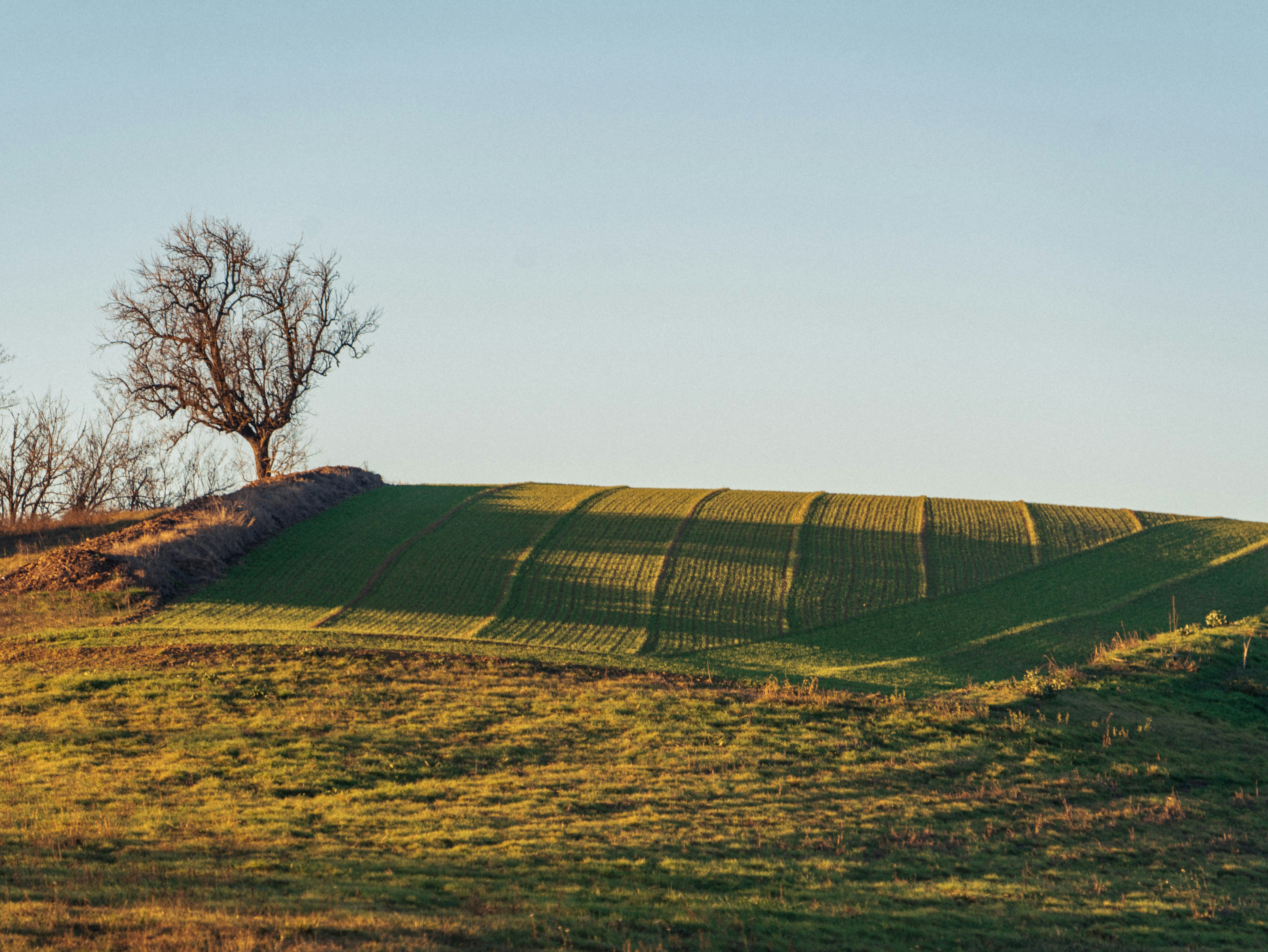 Photo by annastampfli