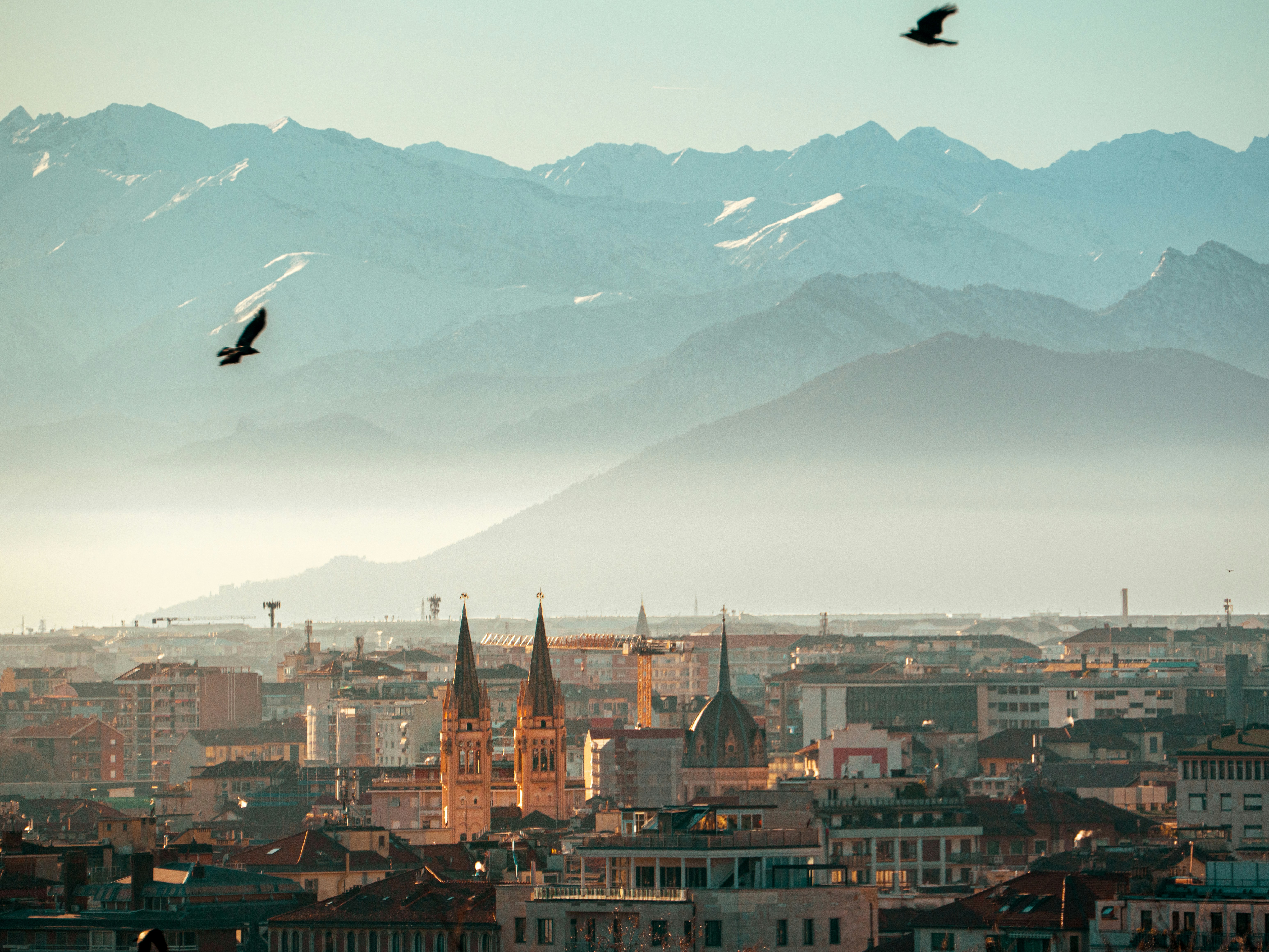 City skyline with mountains and birds flying