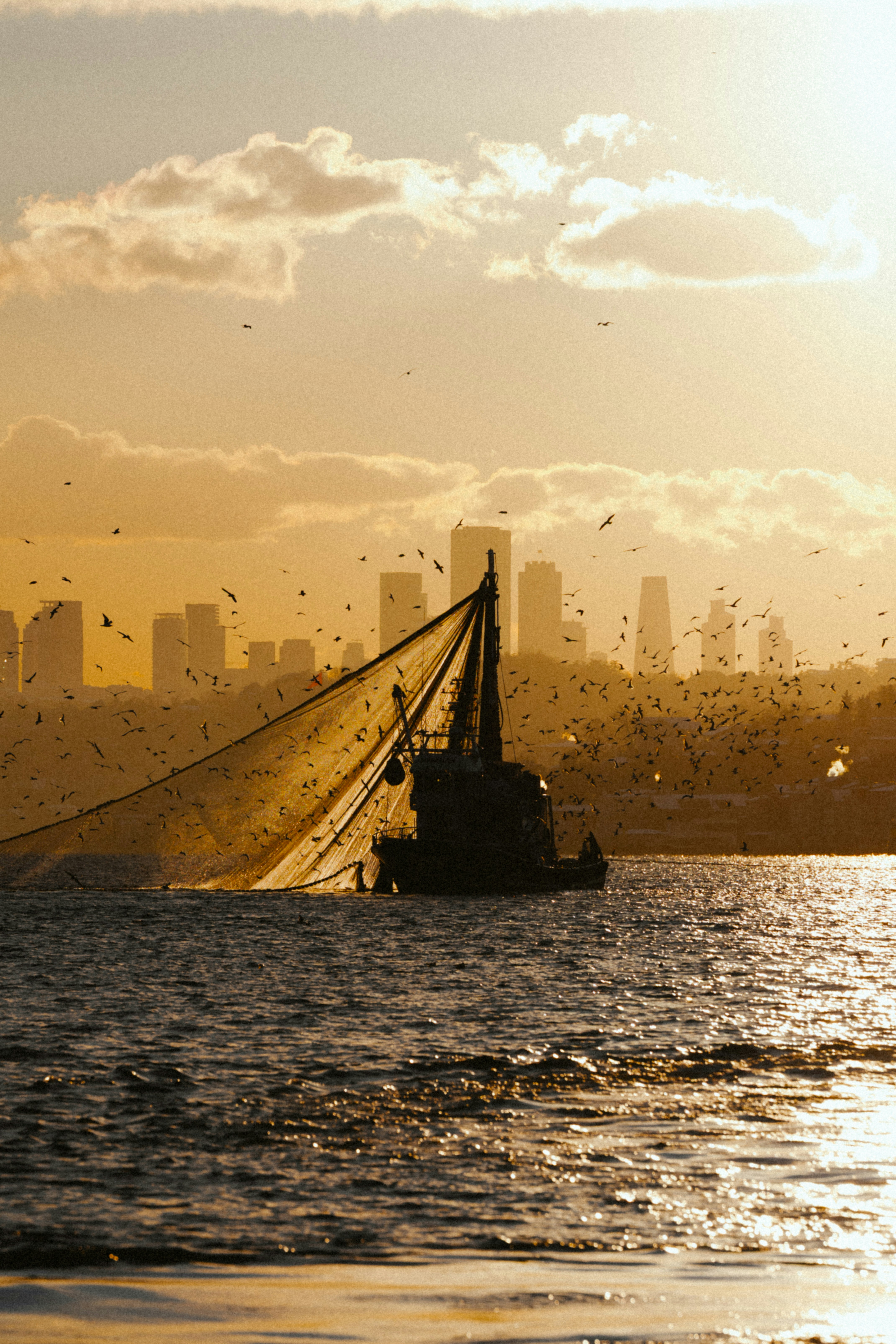 Fishing boat with net and birds against city skyline.