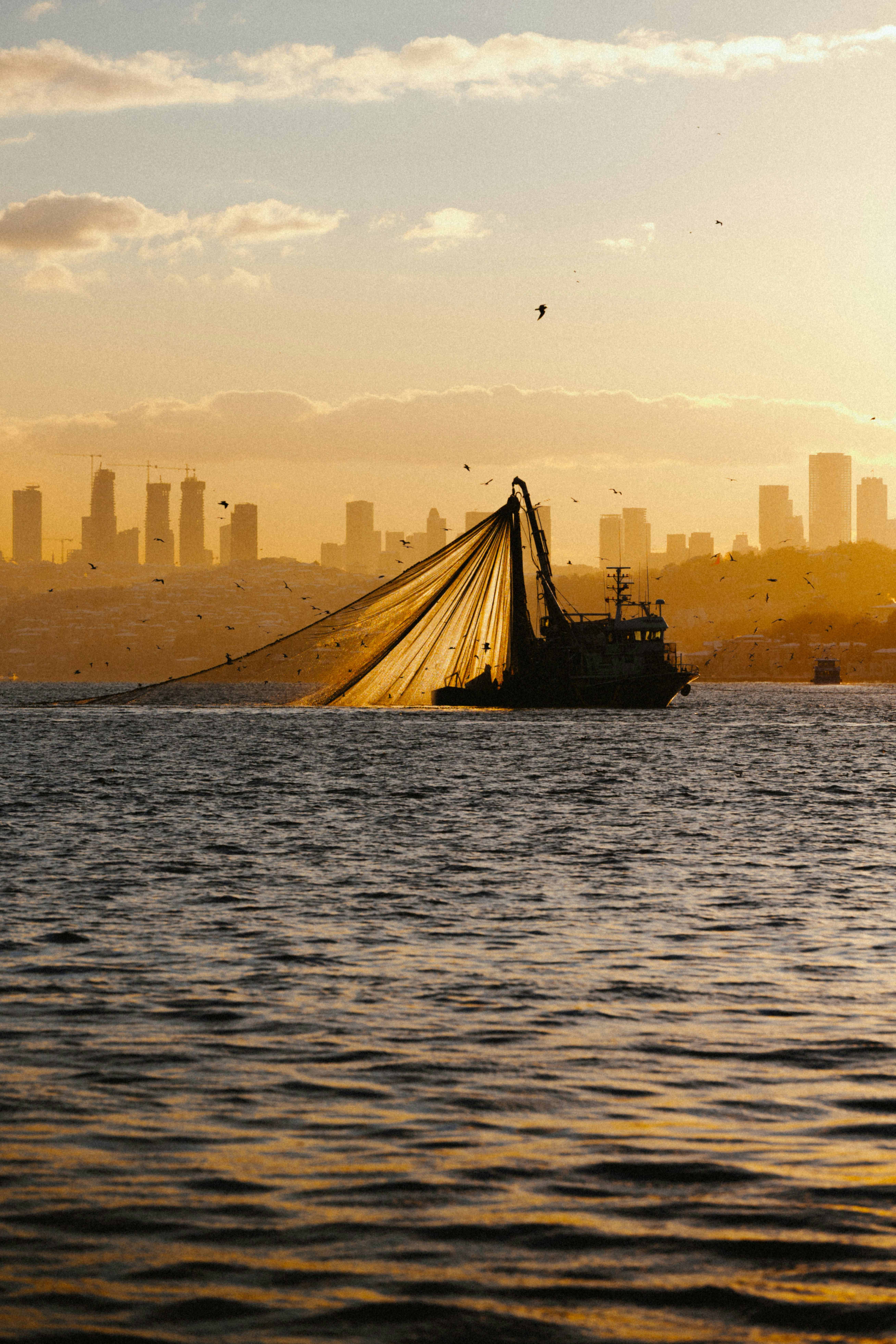 Fishing boat with net against city skyline at sunset