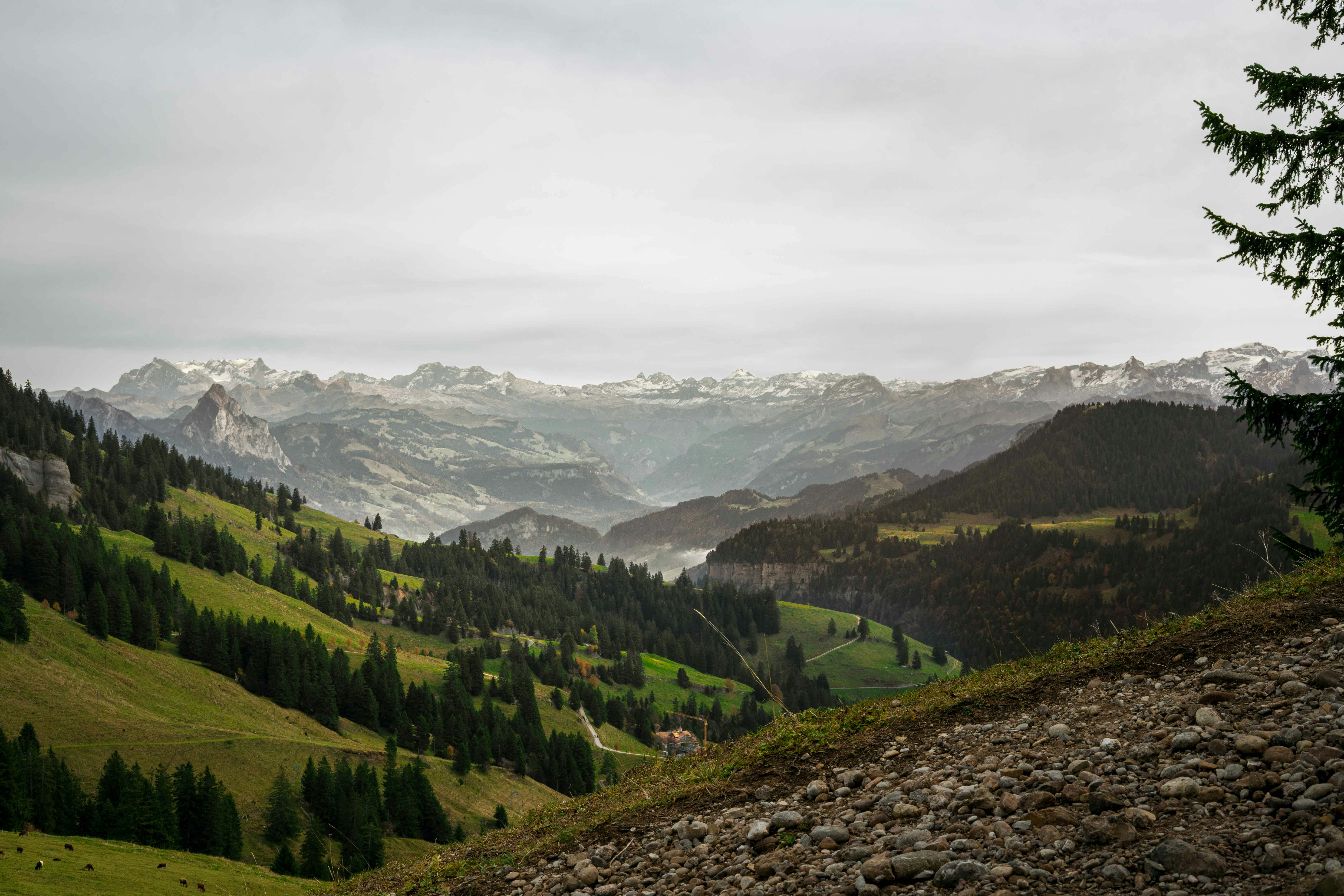 Photo by annastampfli