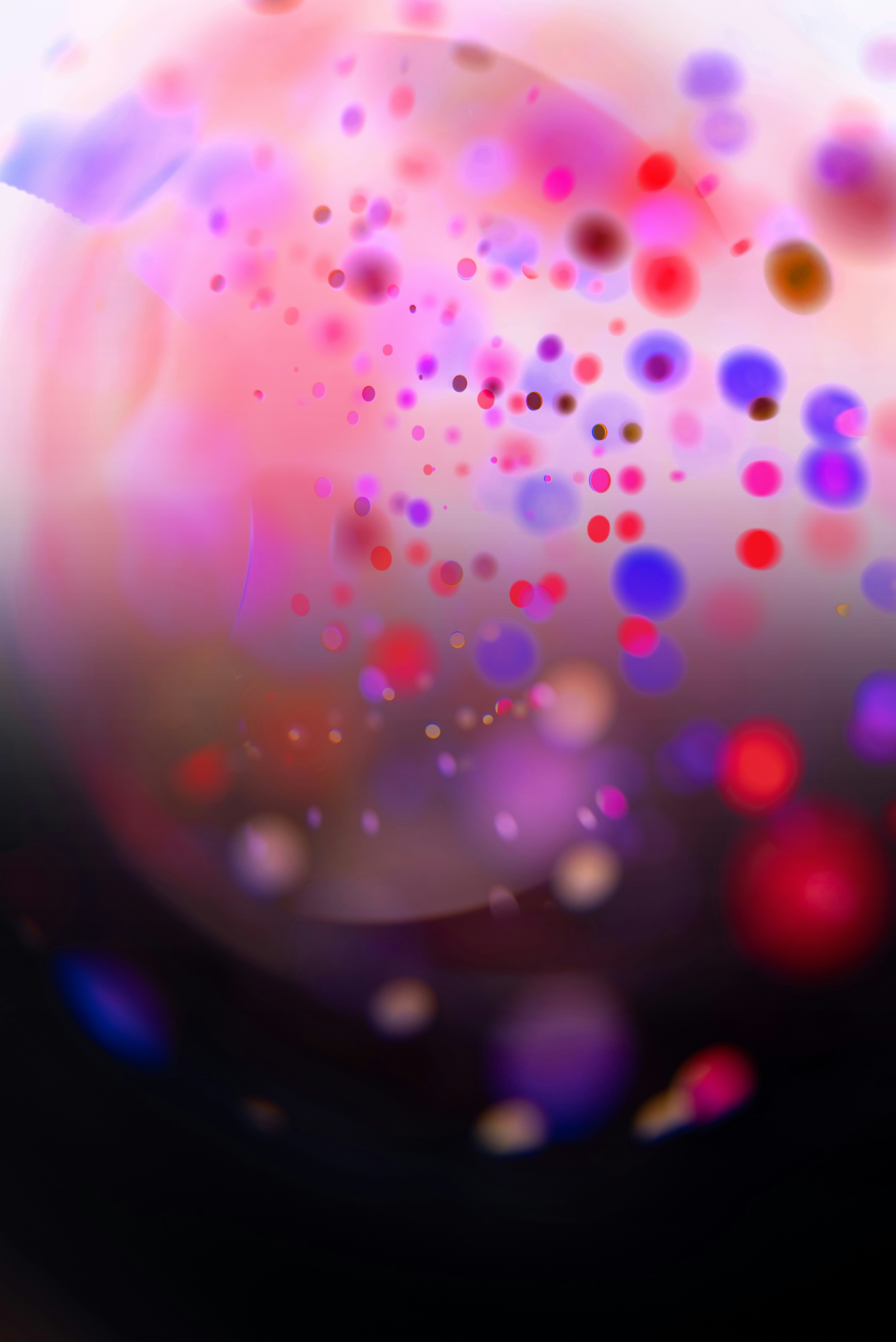 Photo by andrilliardbond