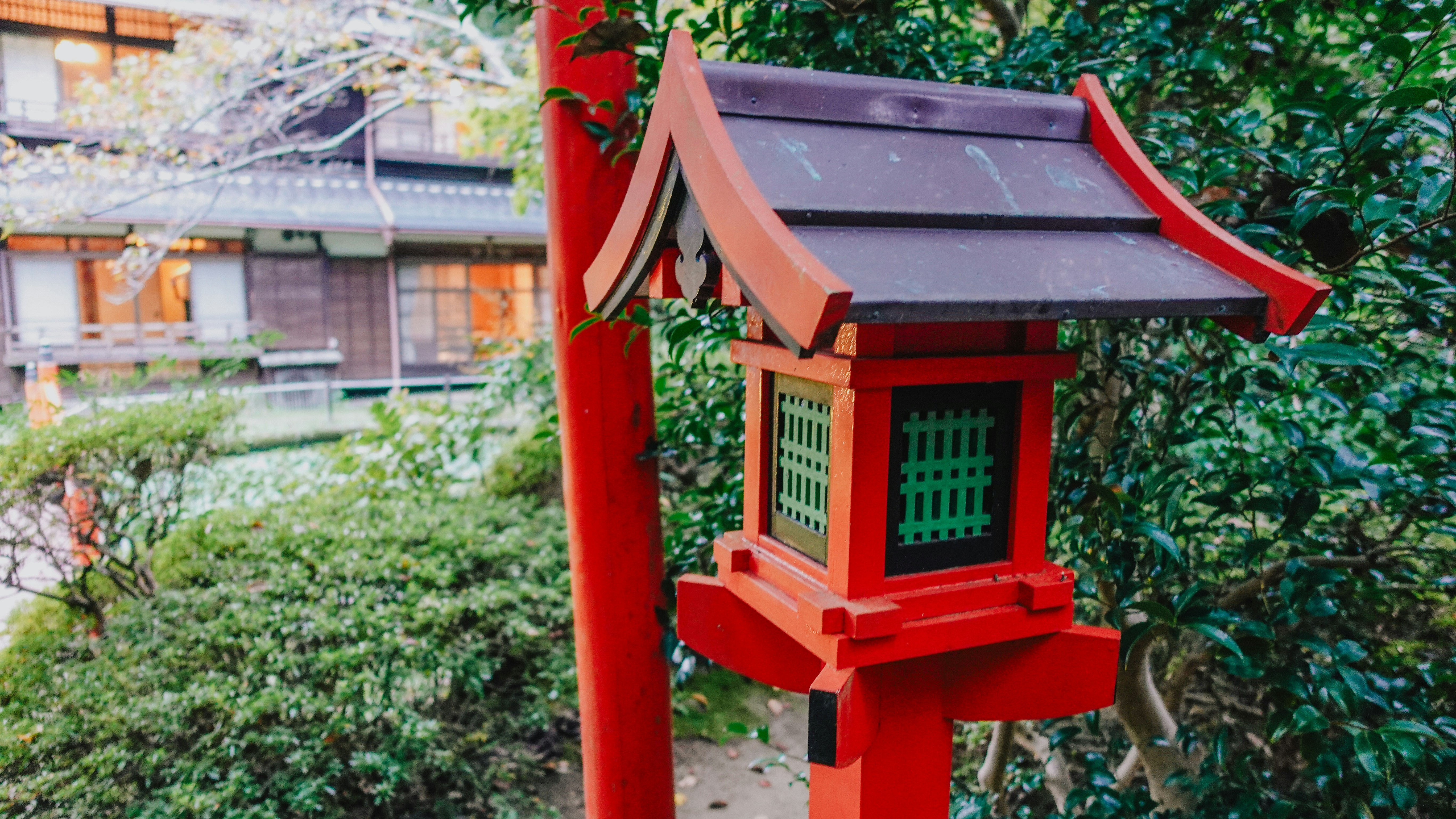 Photo by taylaktictac