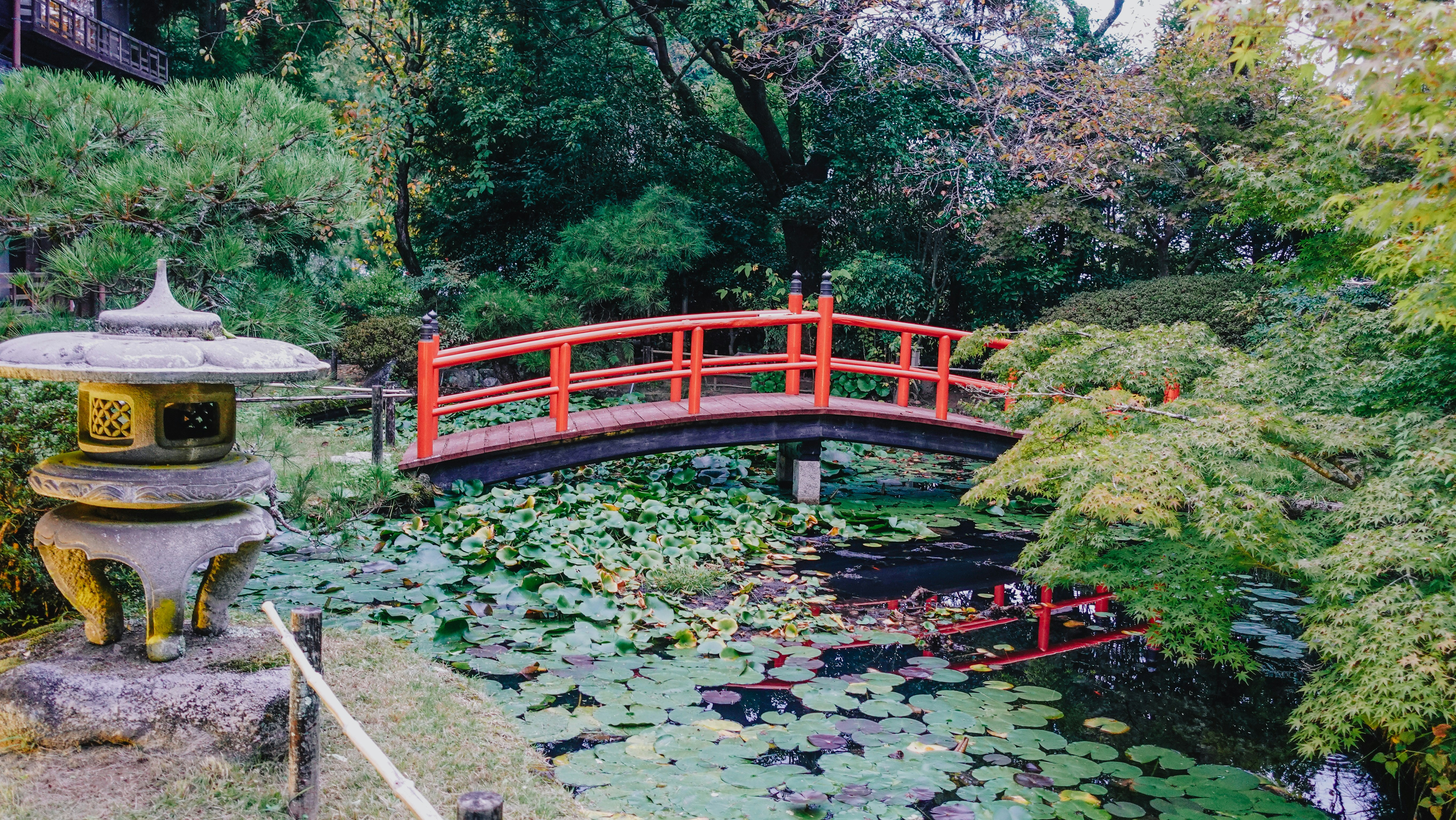 Photo by taylaktictac