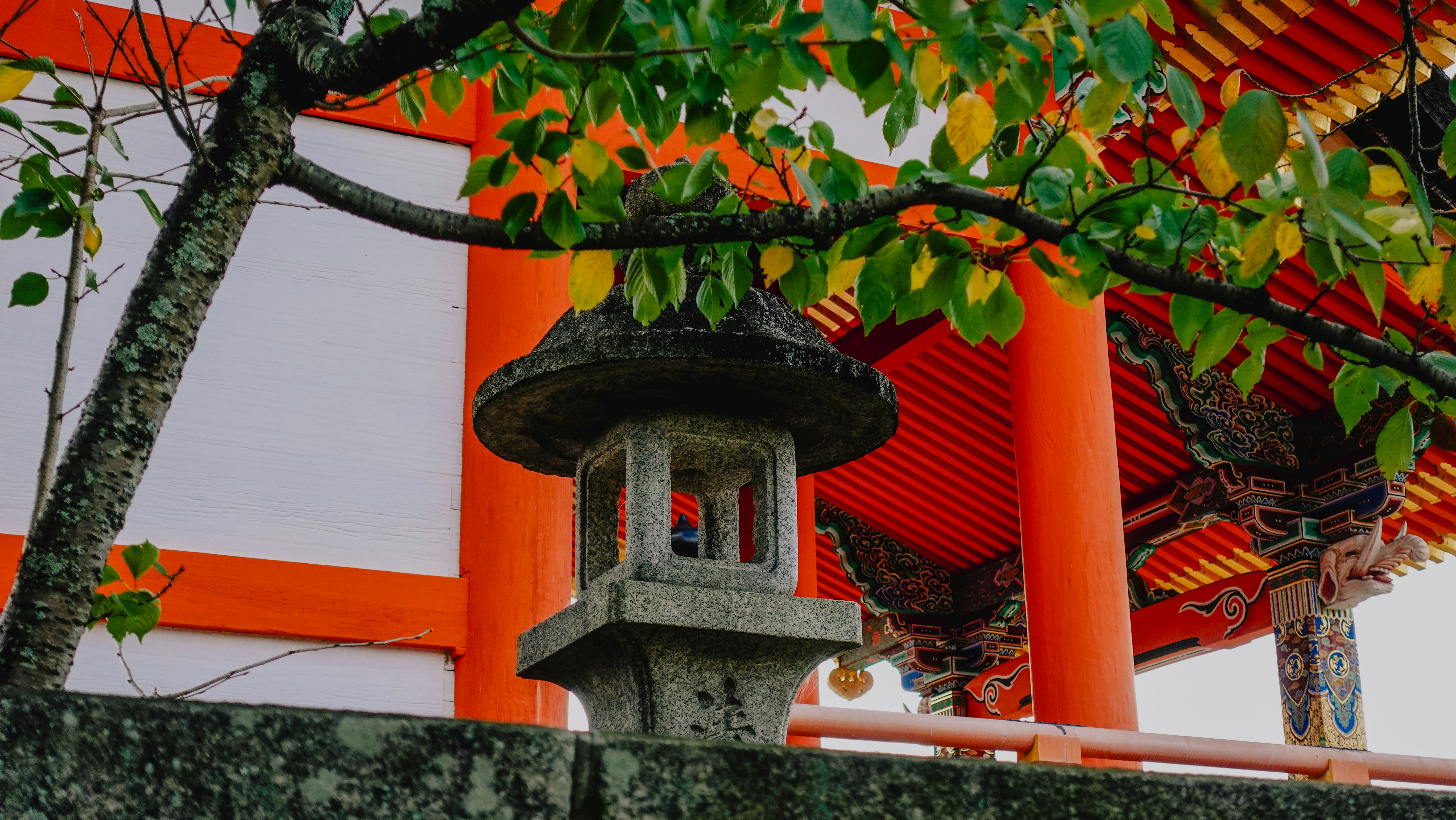 Photo by taylaktictac