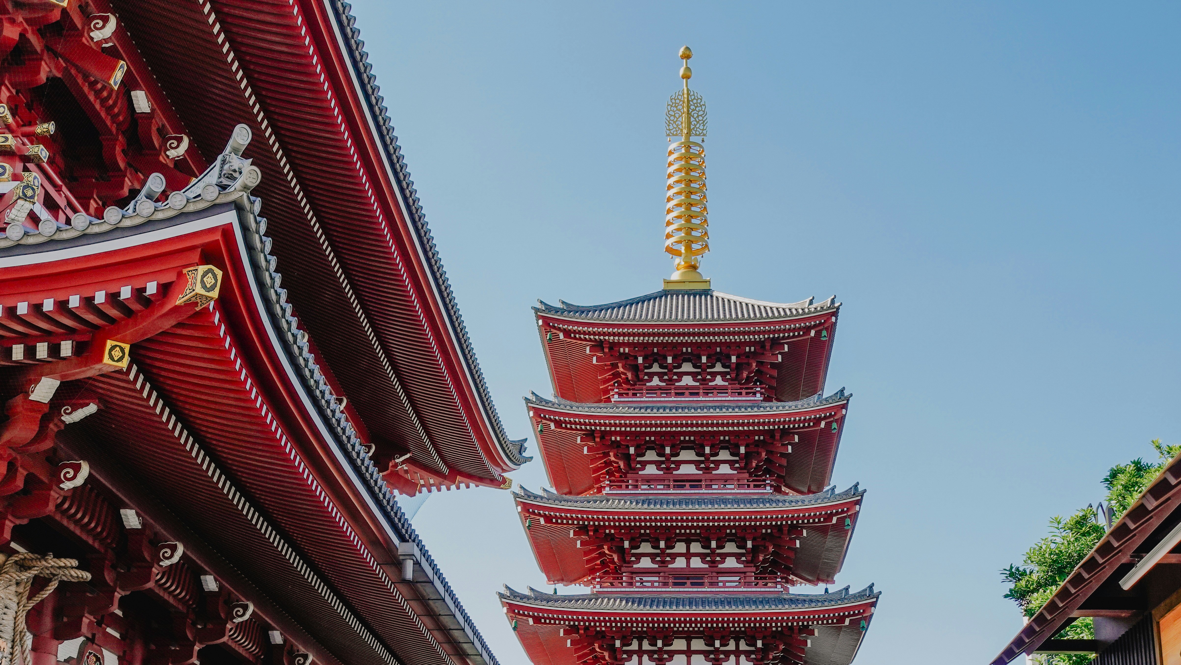 Photo by taylaktictac