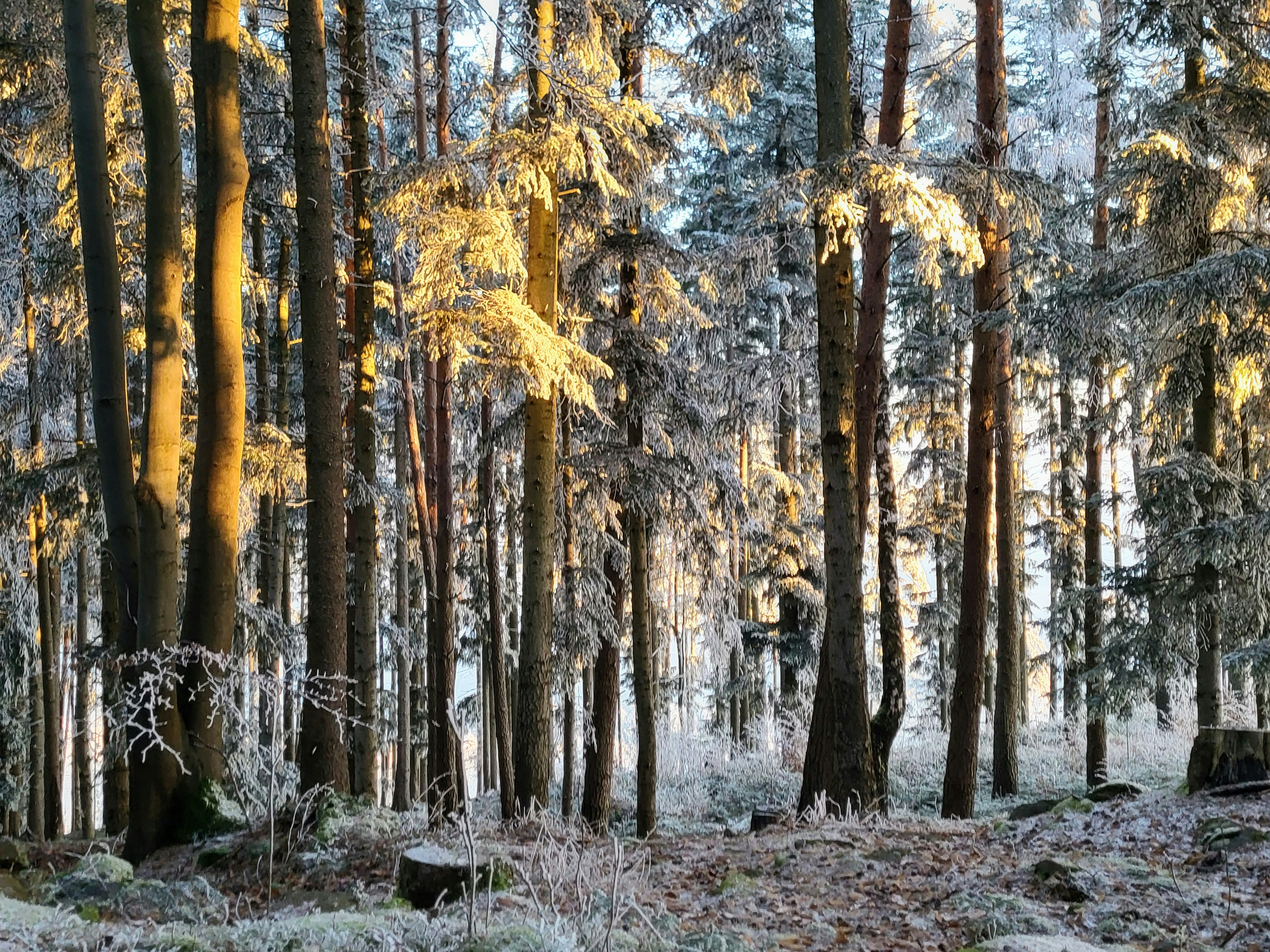 Photo by hejpetrpepa