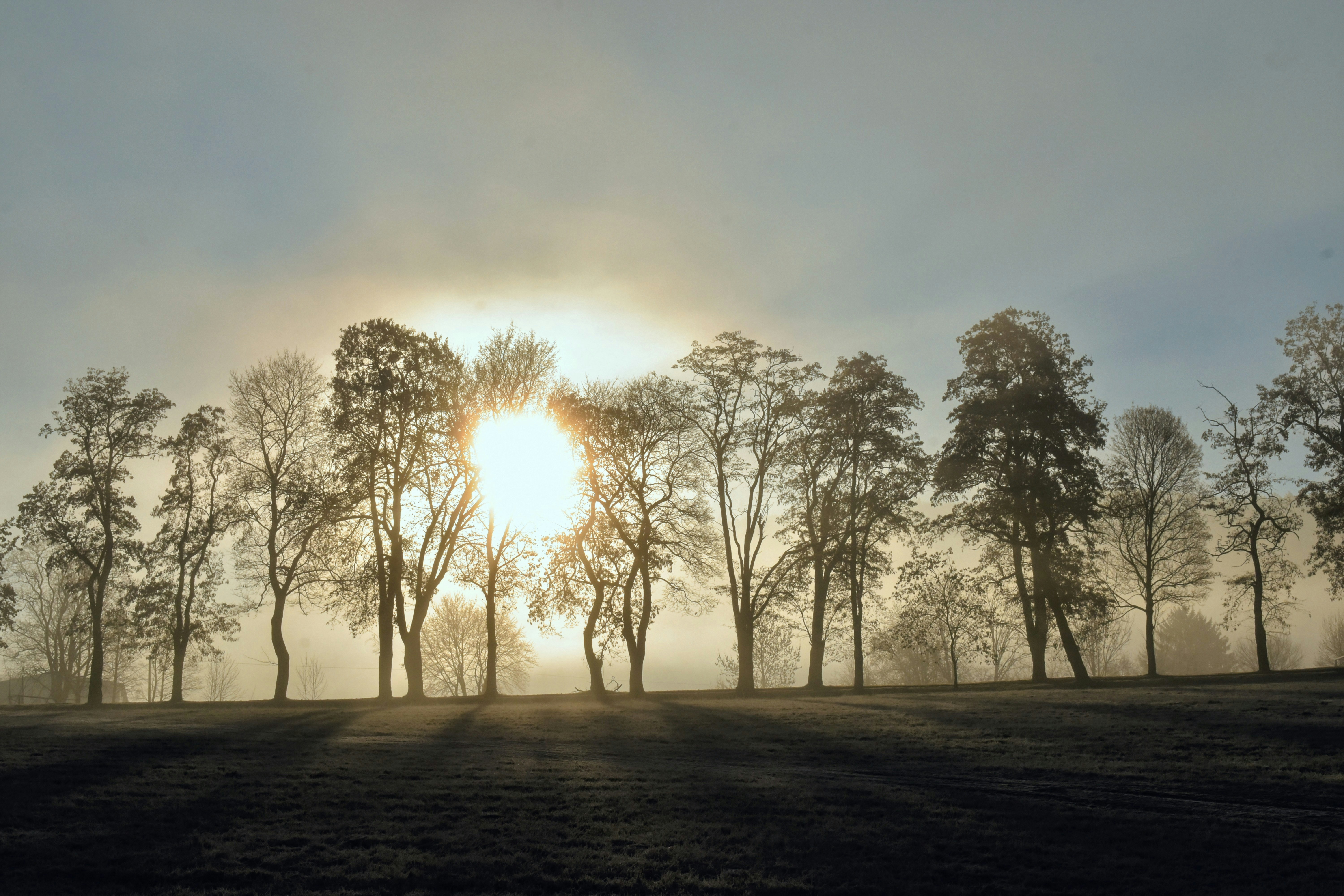 Photo by hejpetrpepa