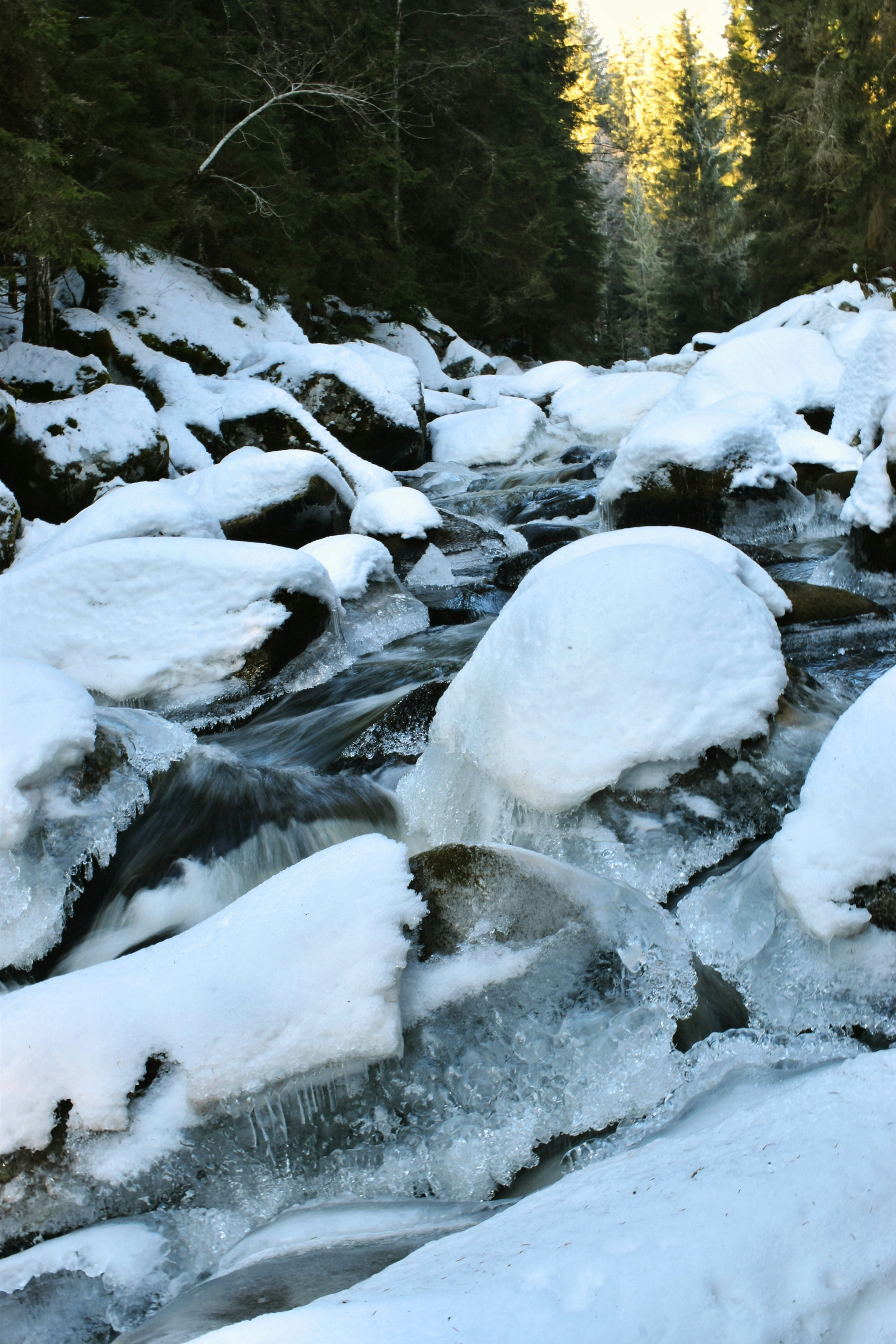 Photo by hejpetrpepa