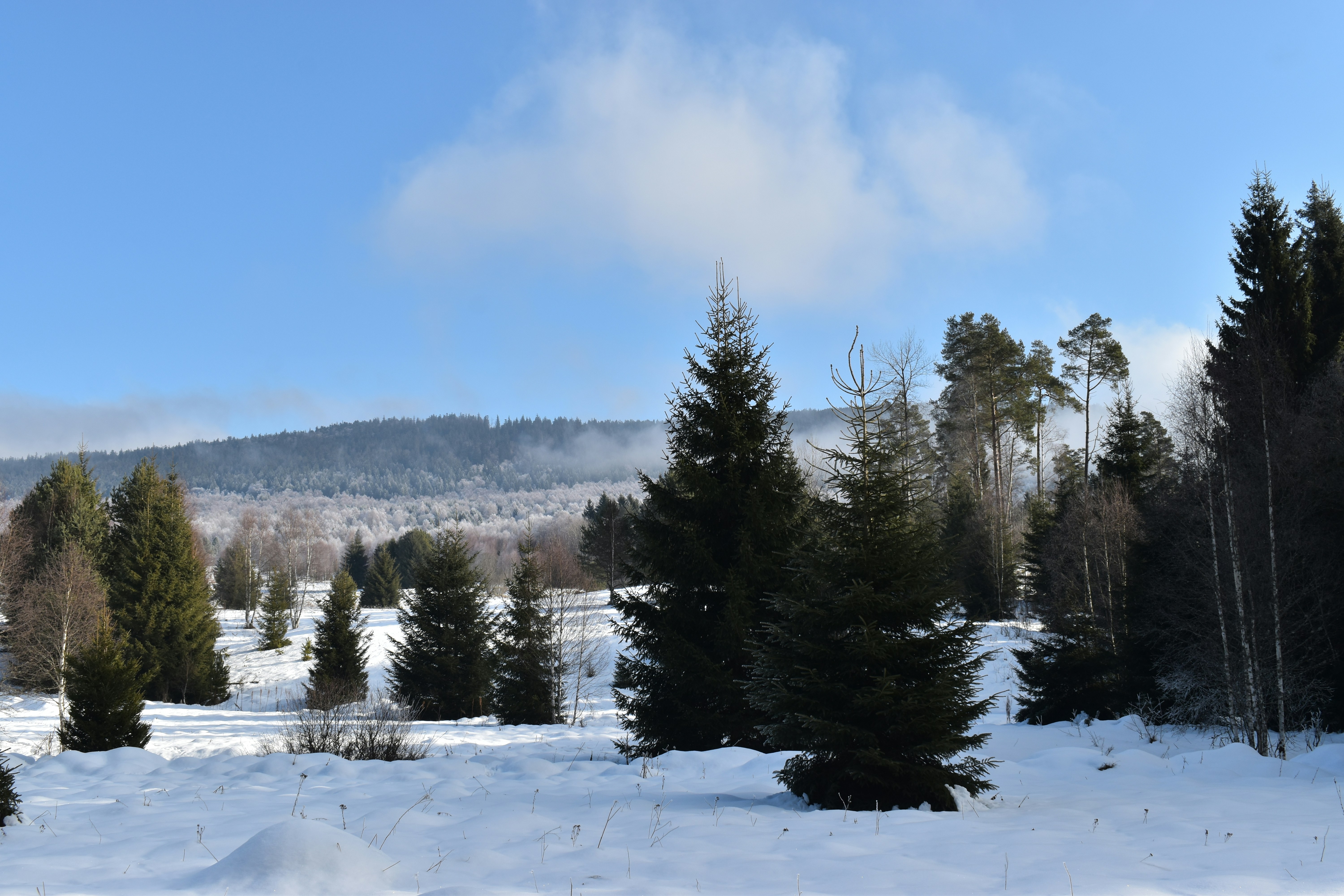 Photo by hejpetrpepa