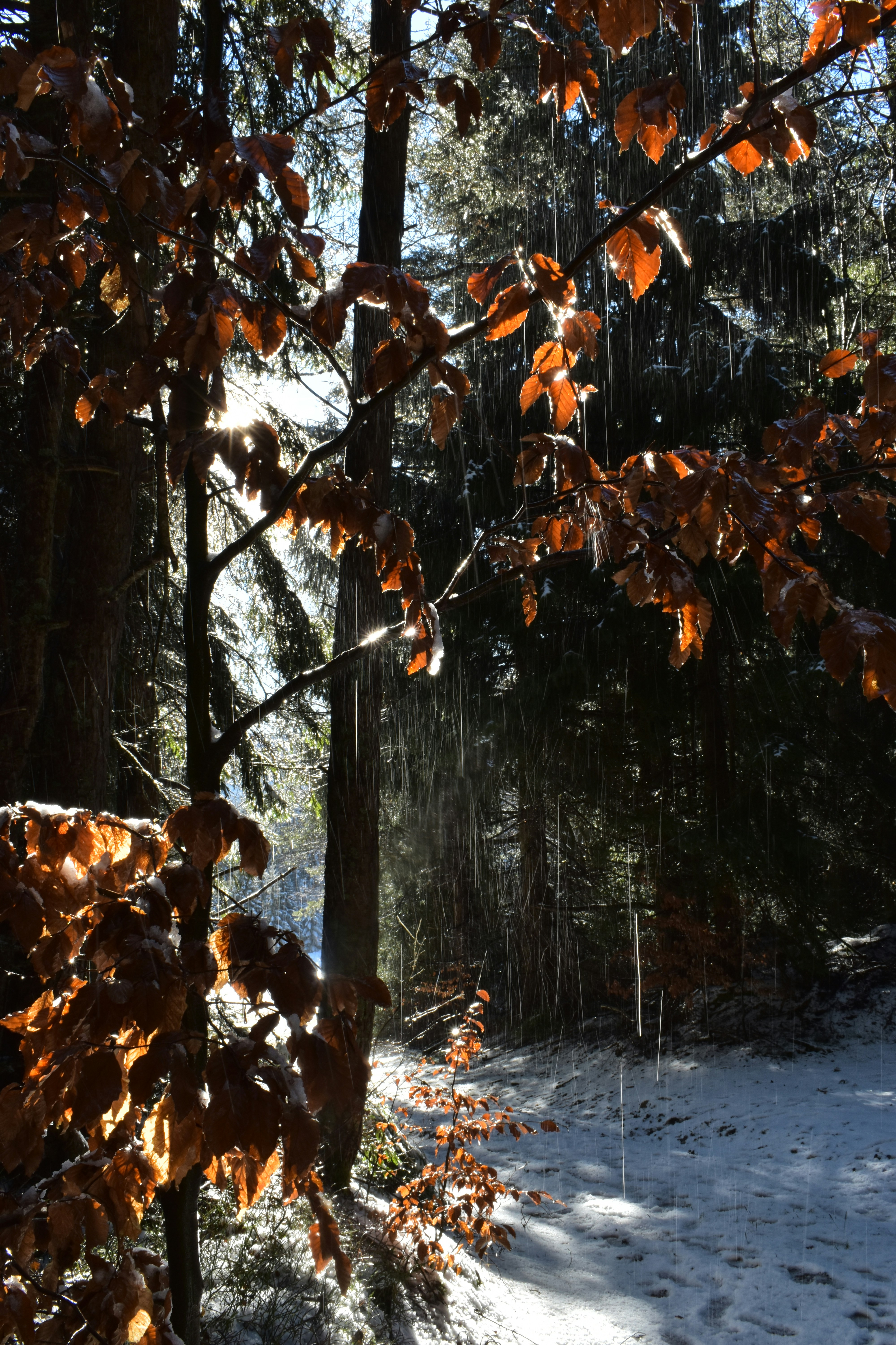 Photo by hejpetrpepa