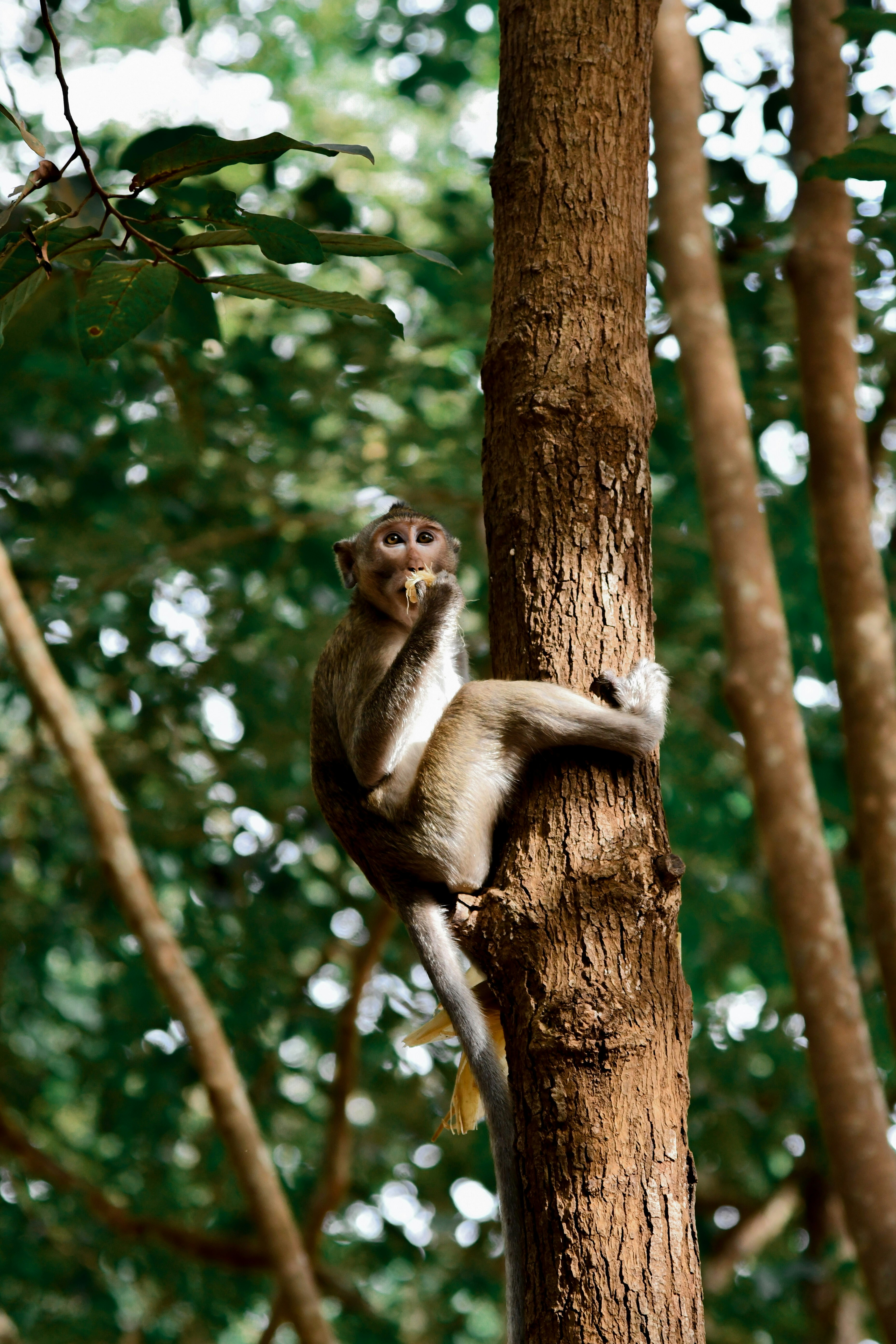 Photo by armandmckenzie