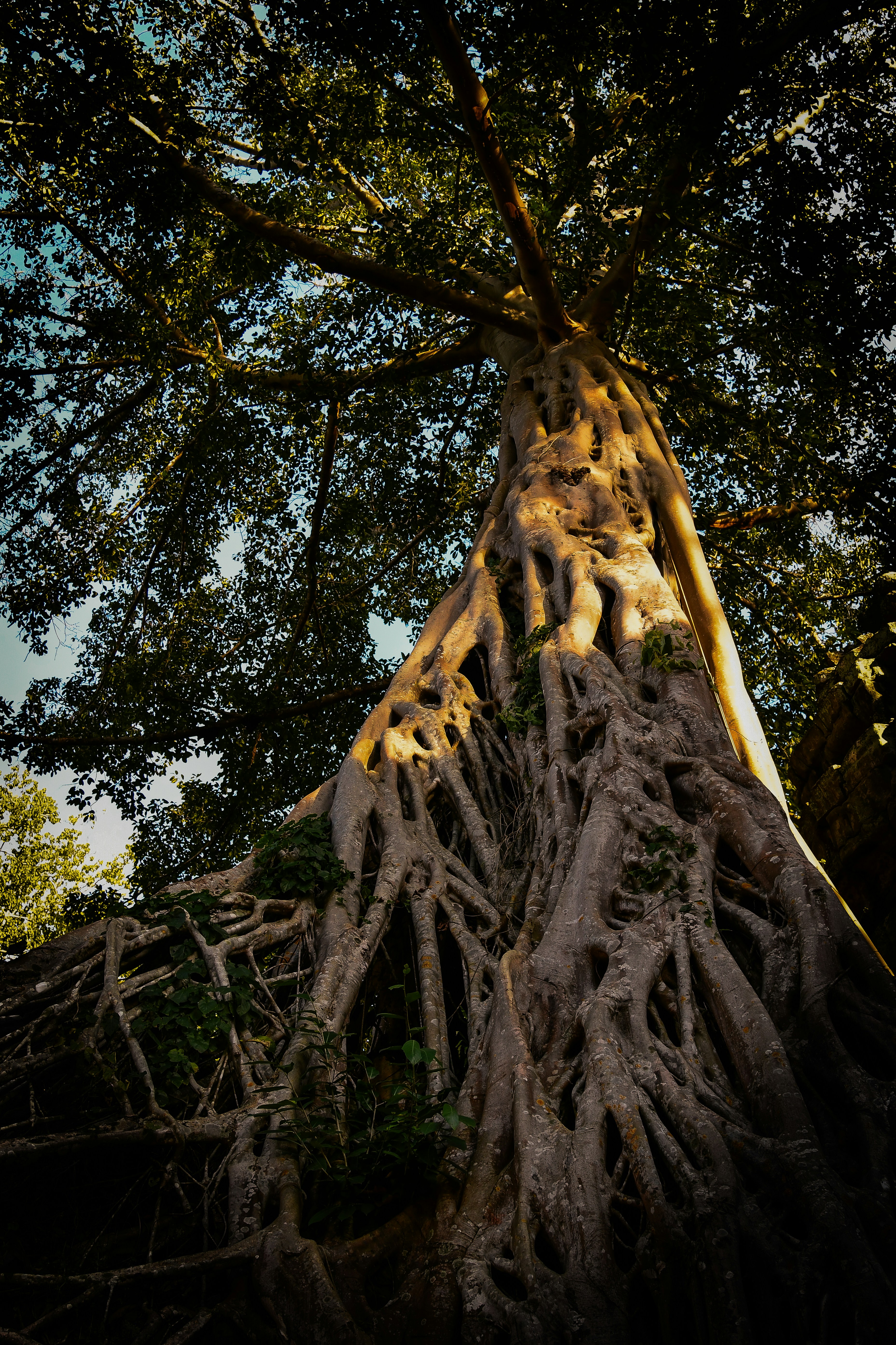 Photo by armandmckenzie