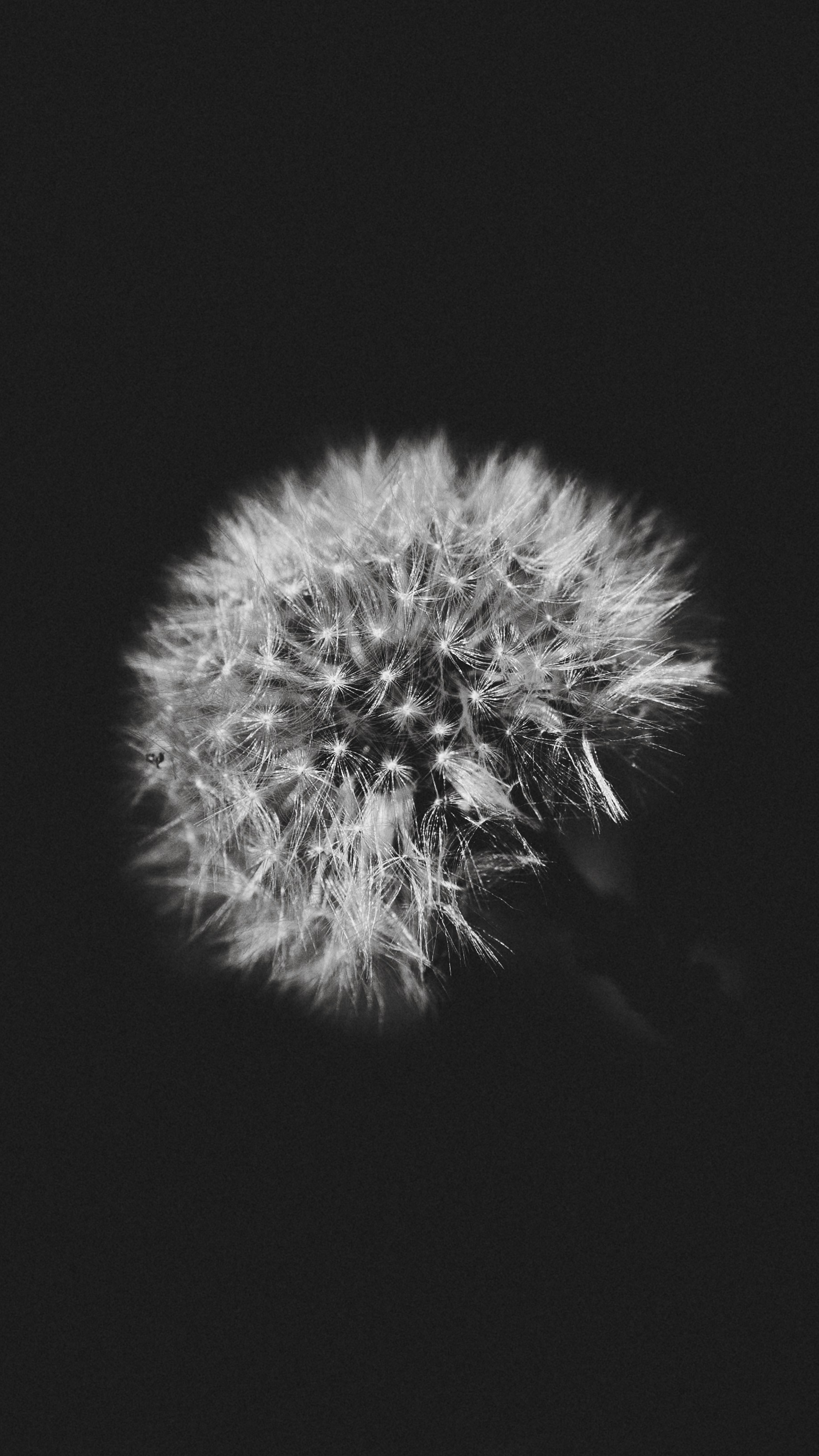 Photo by benjamin_photography