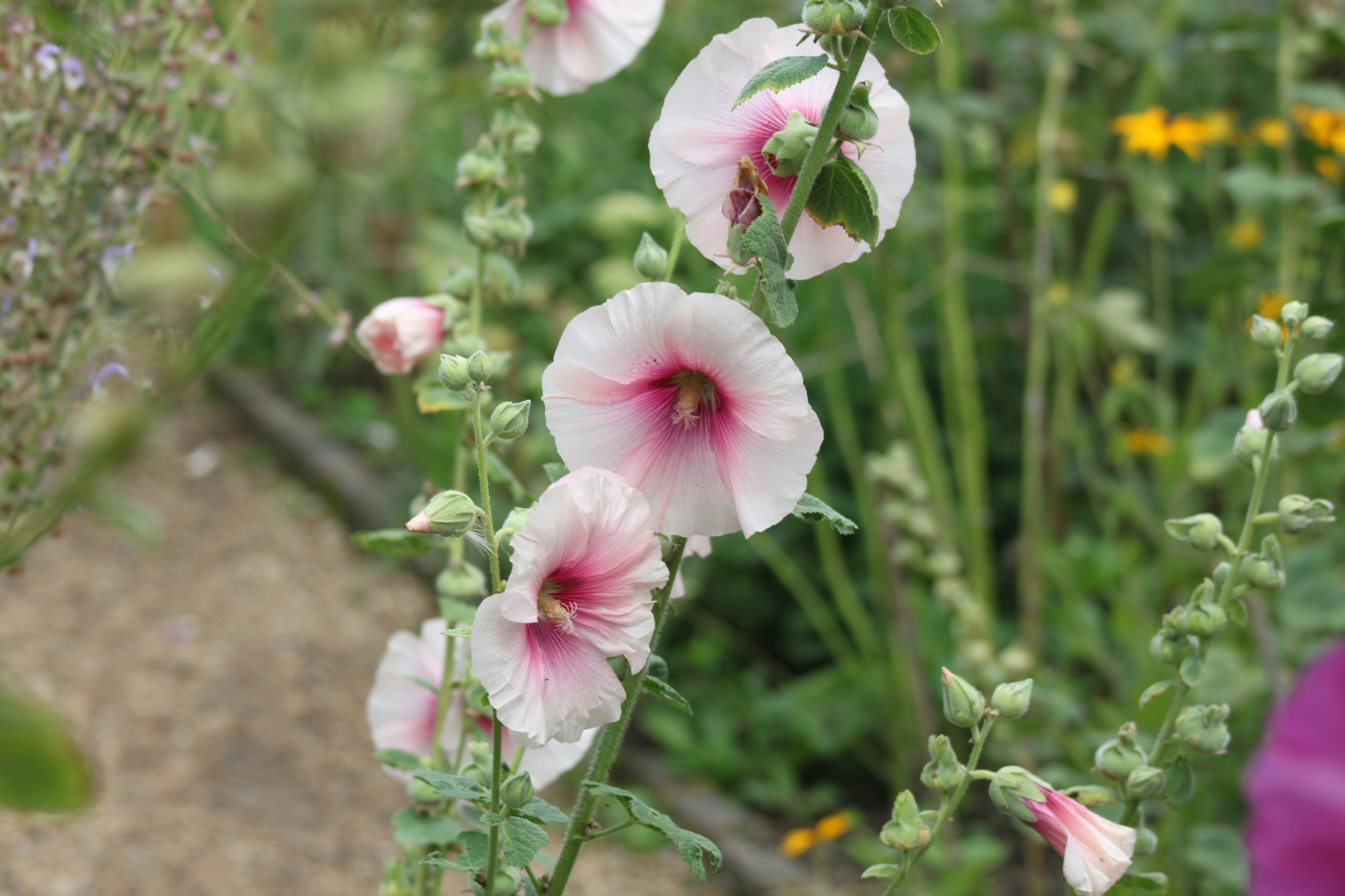 Photo by rubyphotography