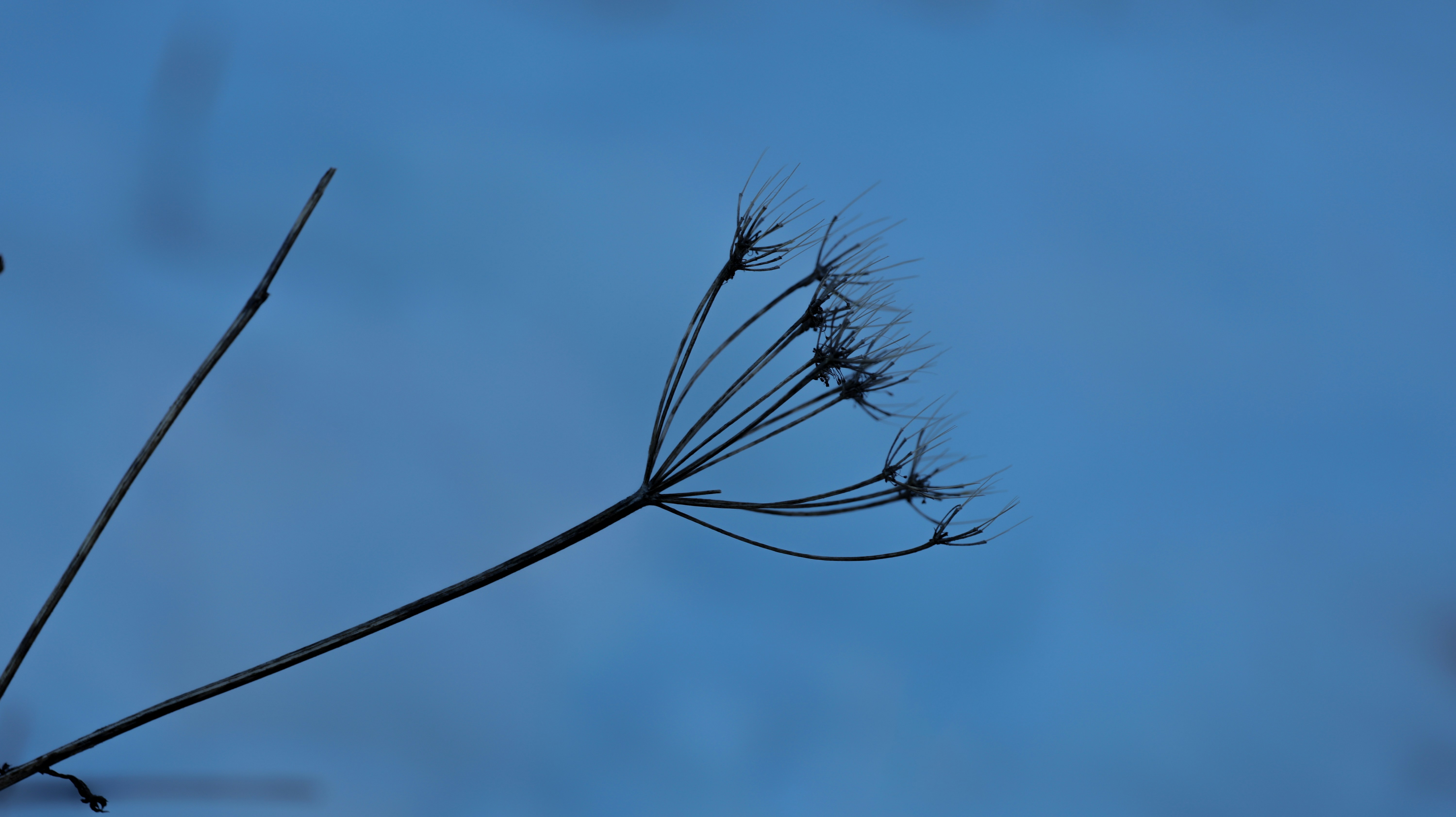 Photo by valomukitse