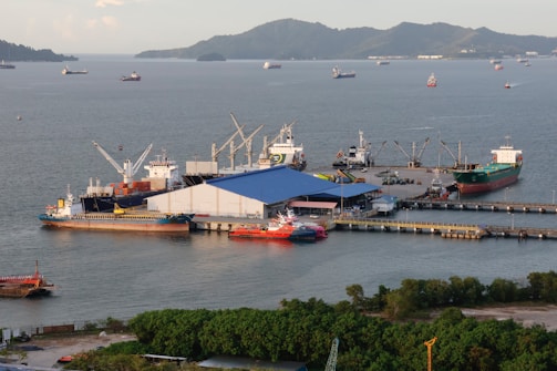 Ships docked at a busy industrial port with cargo cranes.