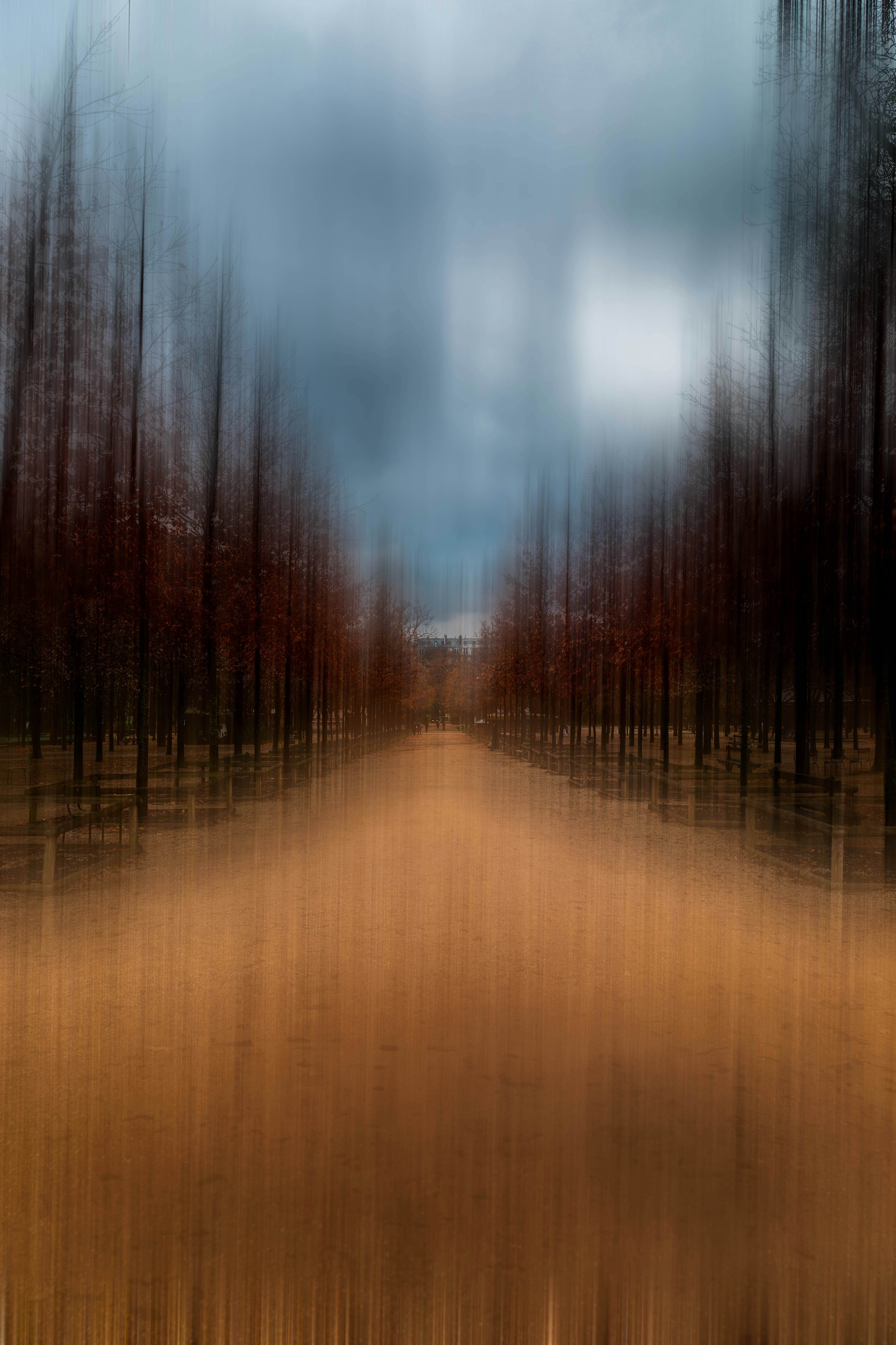 Abstract path lined with blurry trees under a cloudy sky