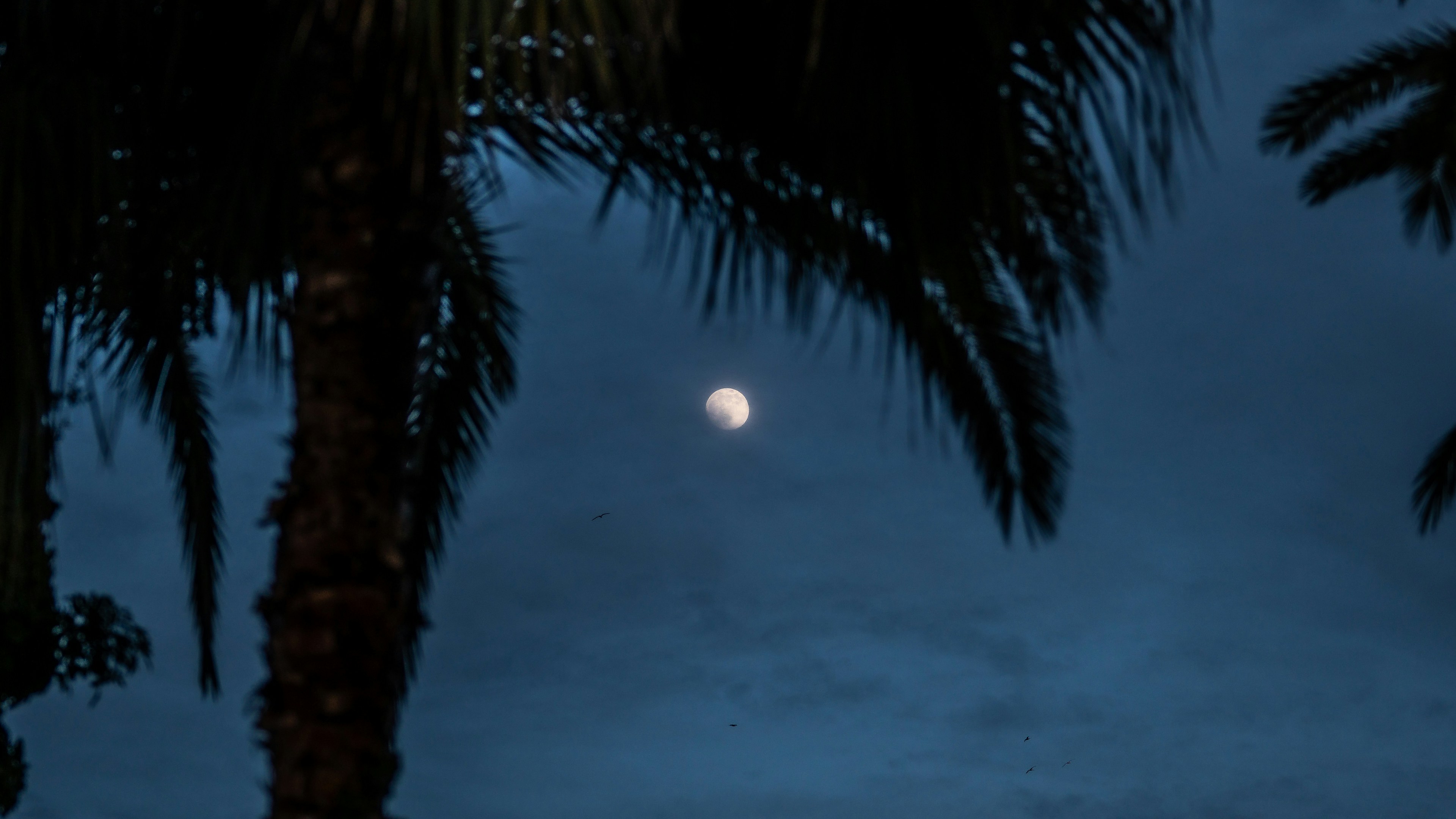 Photo by theemanofoth