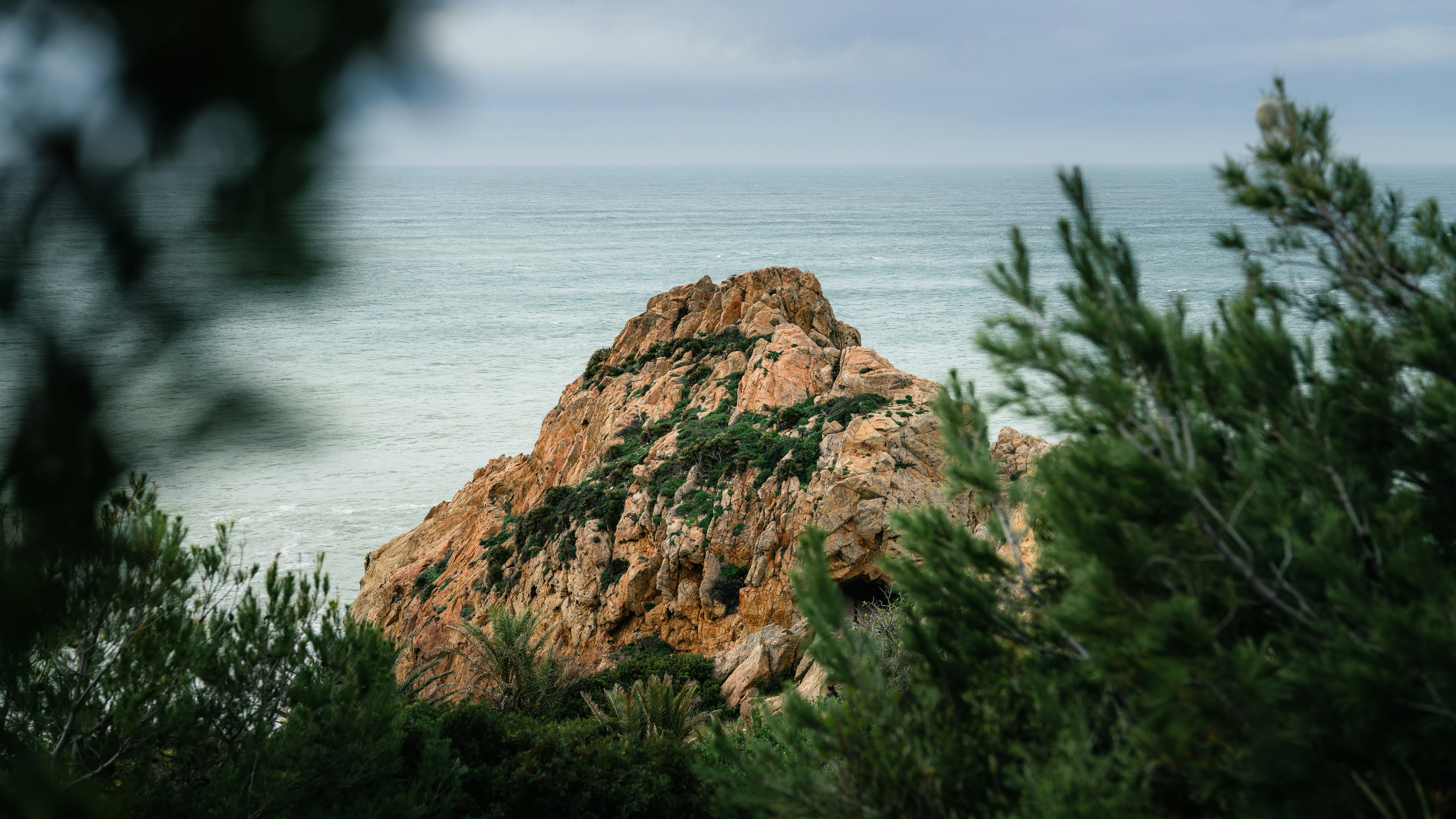 바닷가의 녹색 잎사귀가 있는 바위 노출부
