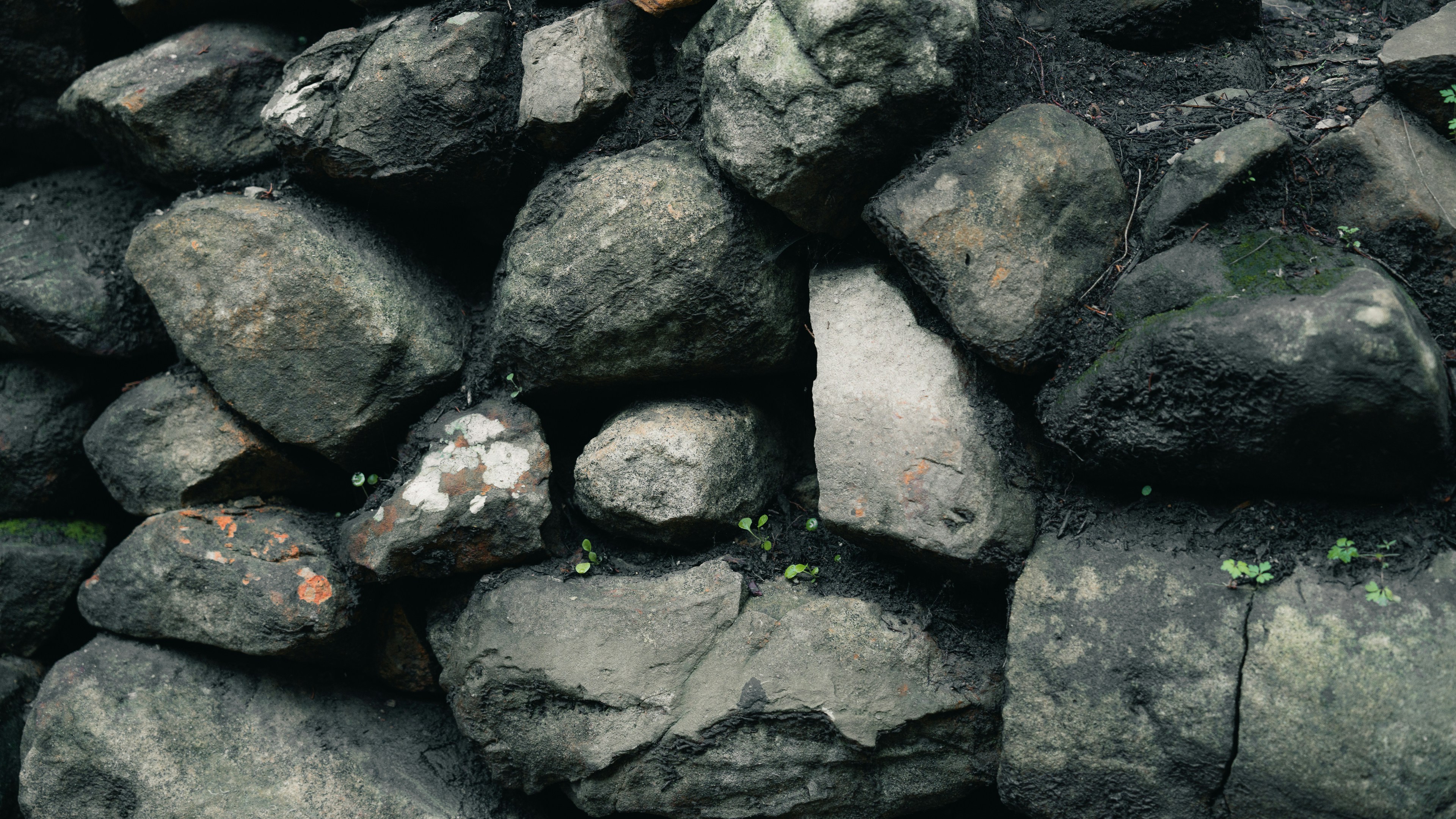 Photo by theemanofoth