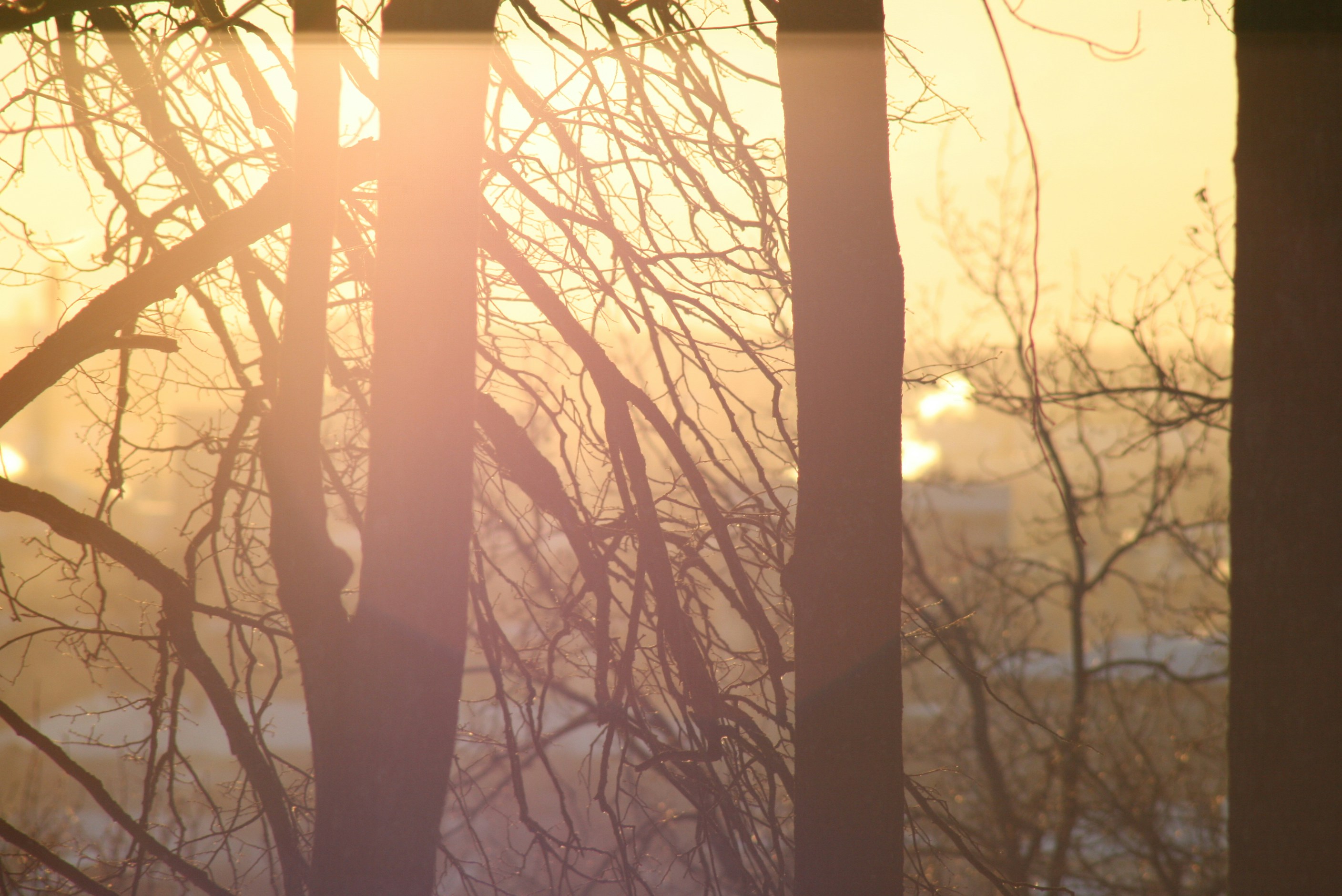 Photo by mitsuki_044