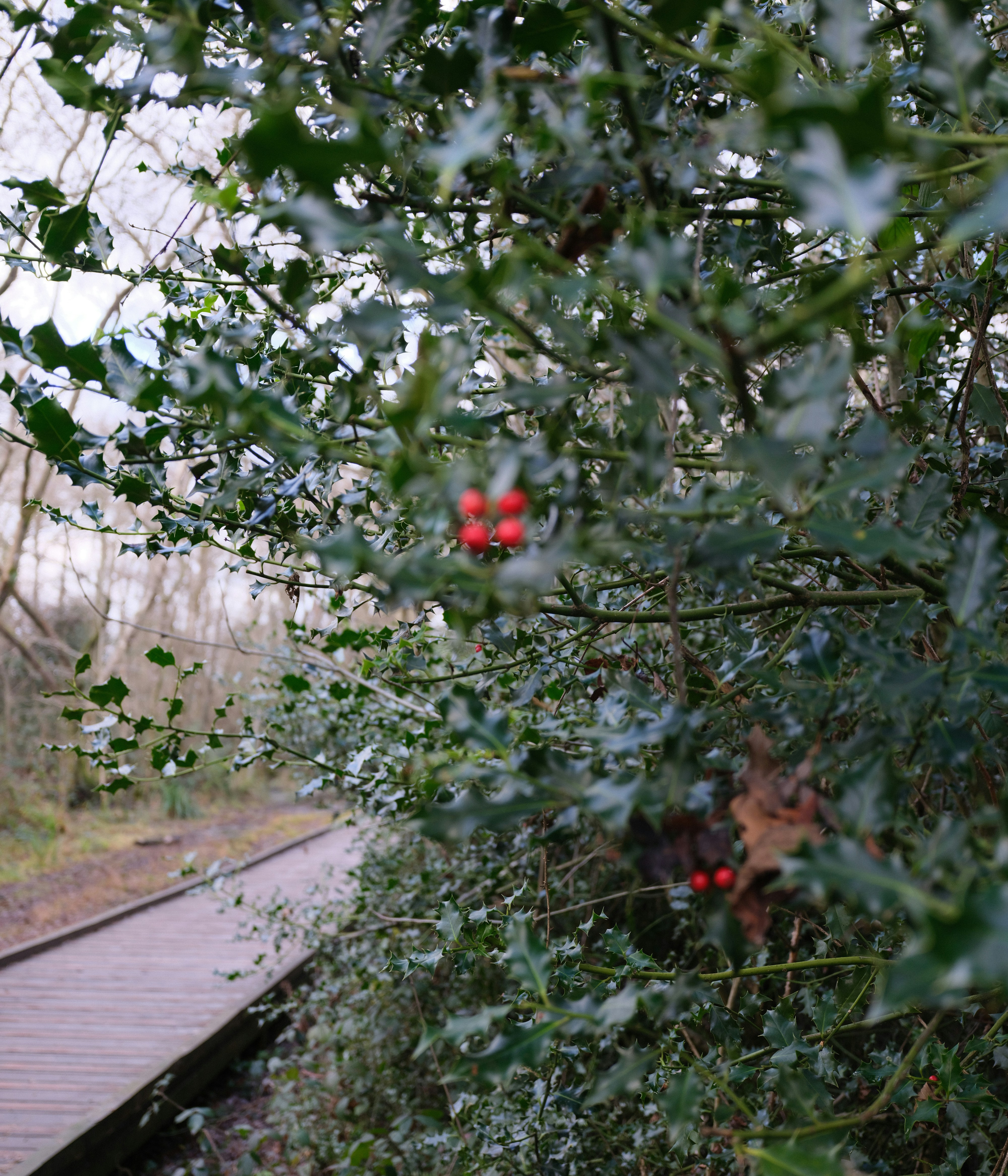 Photo by tanyabarrow