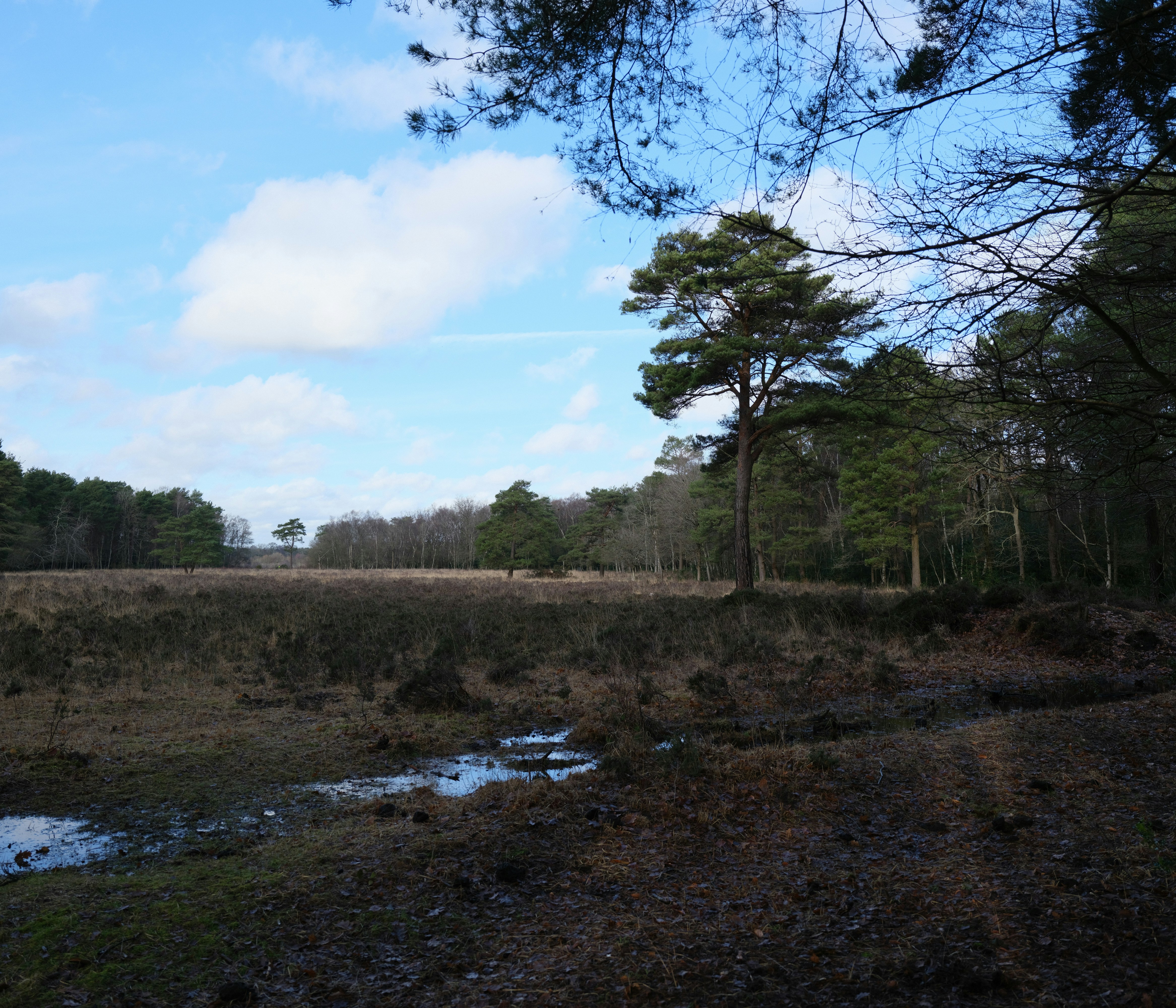 Photo by tanyabarrow