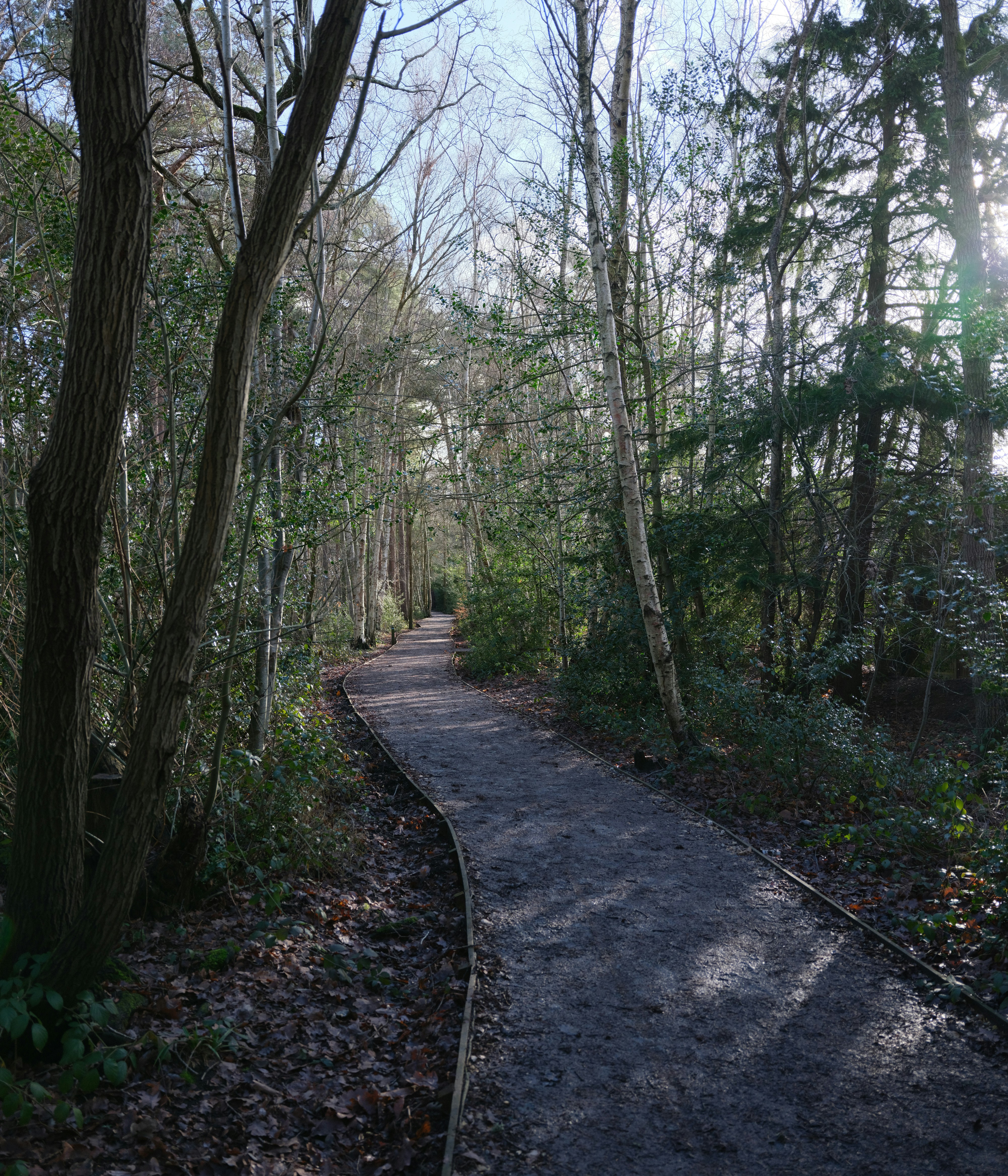 Photo by tanyabarrow