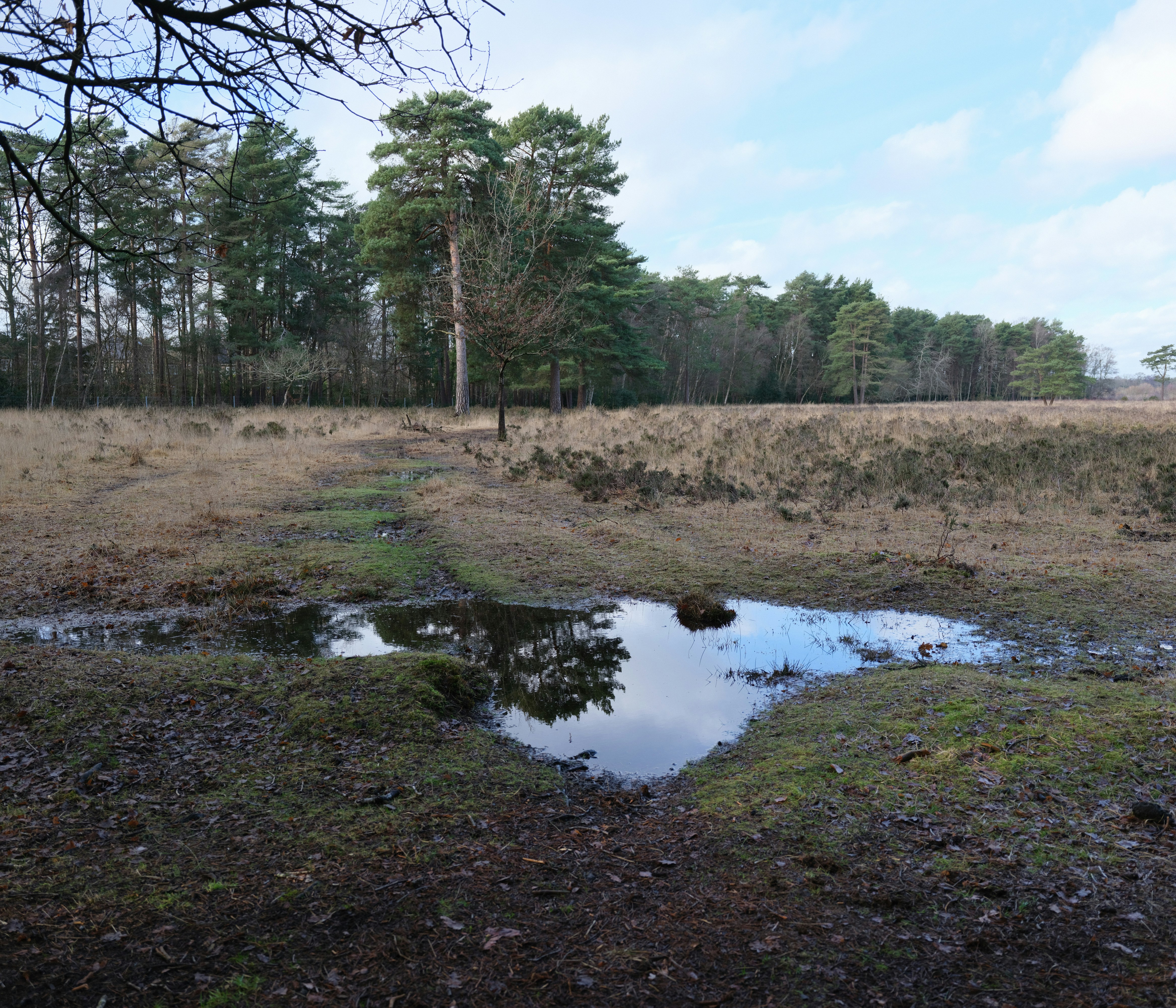 Photo by tanyabarrow