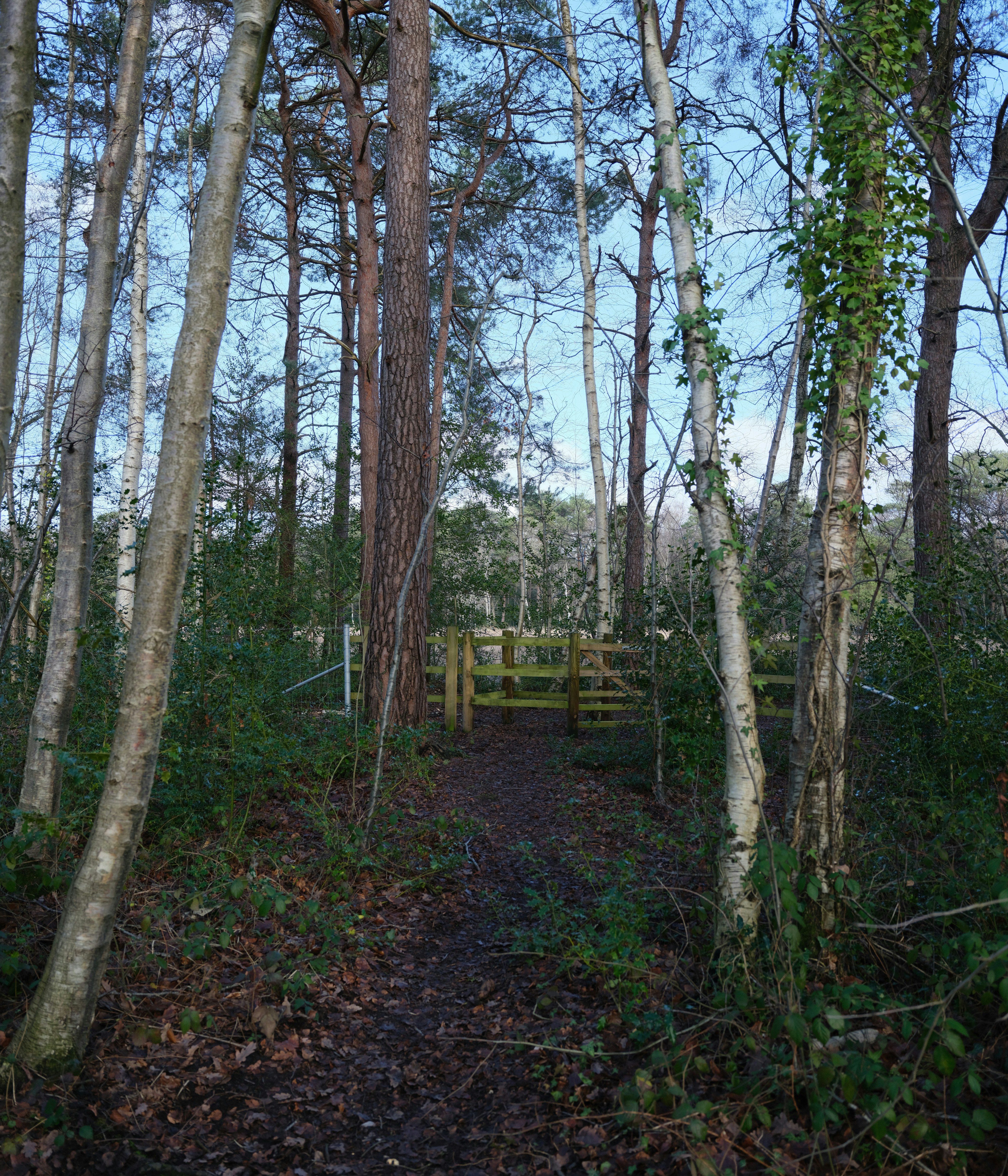 Photo by tanyabarrow