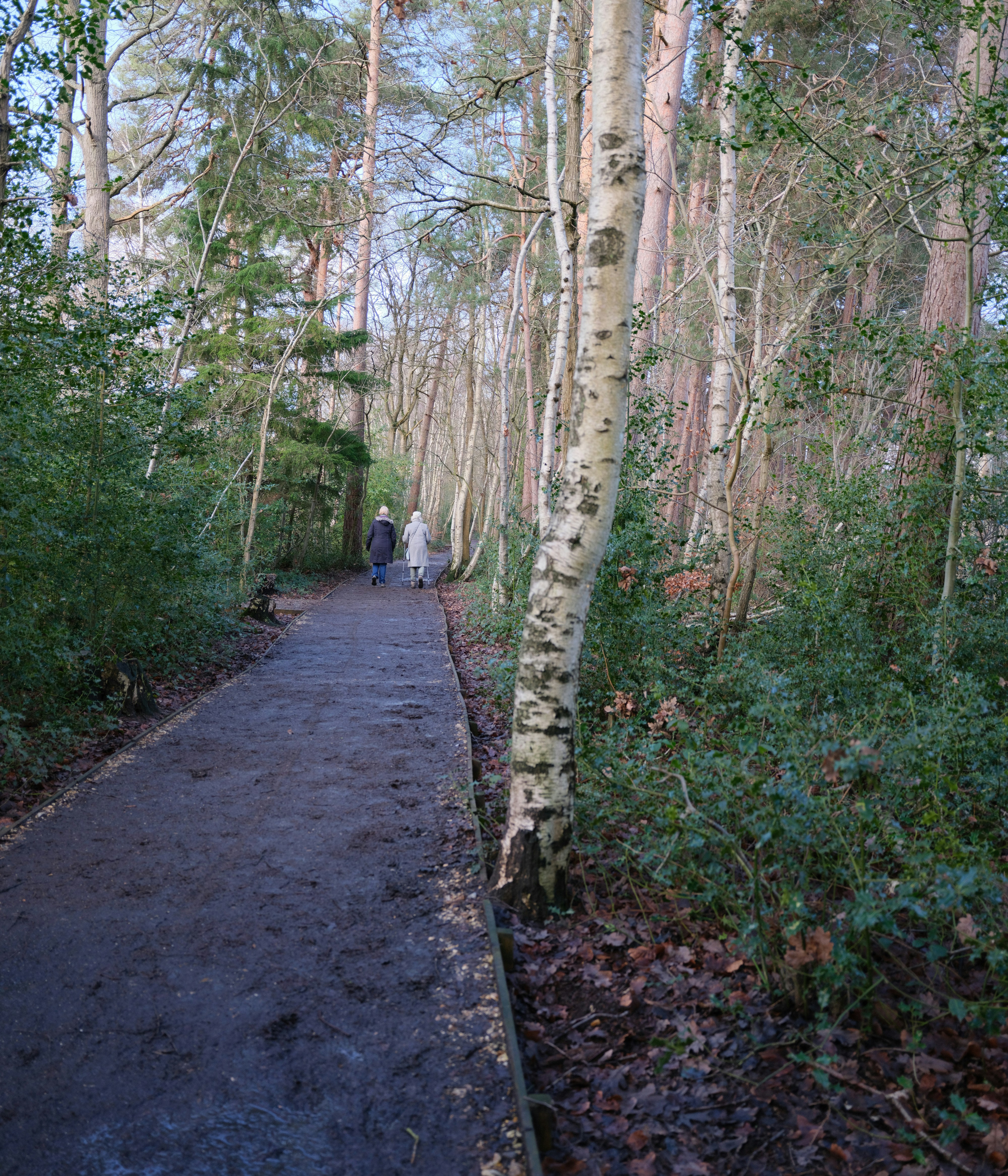 Photo by tanyabarrow