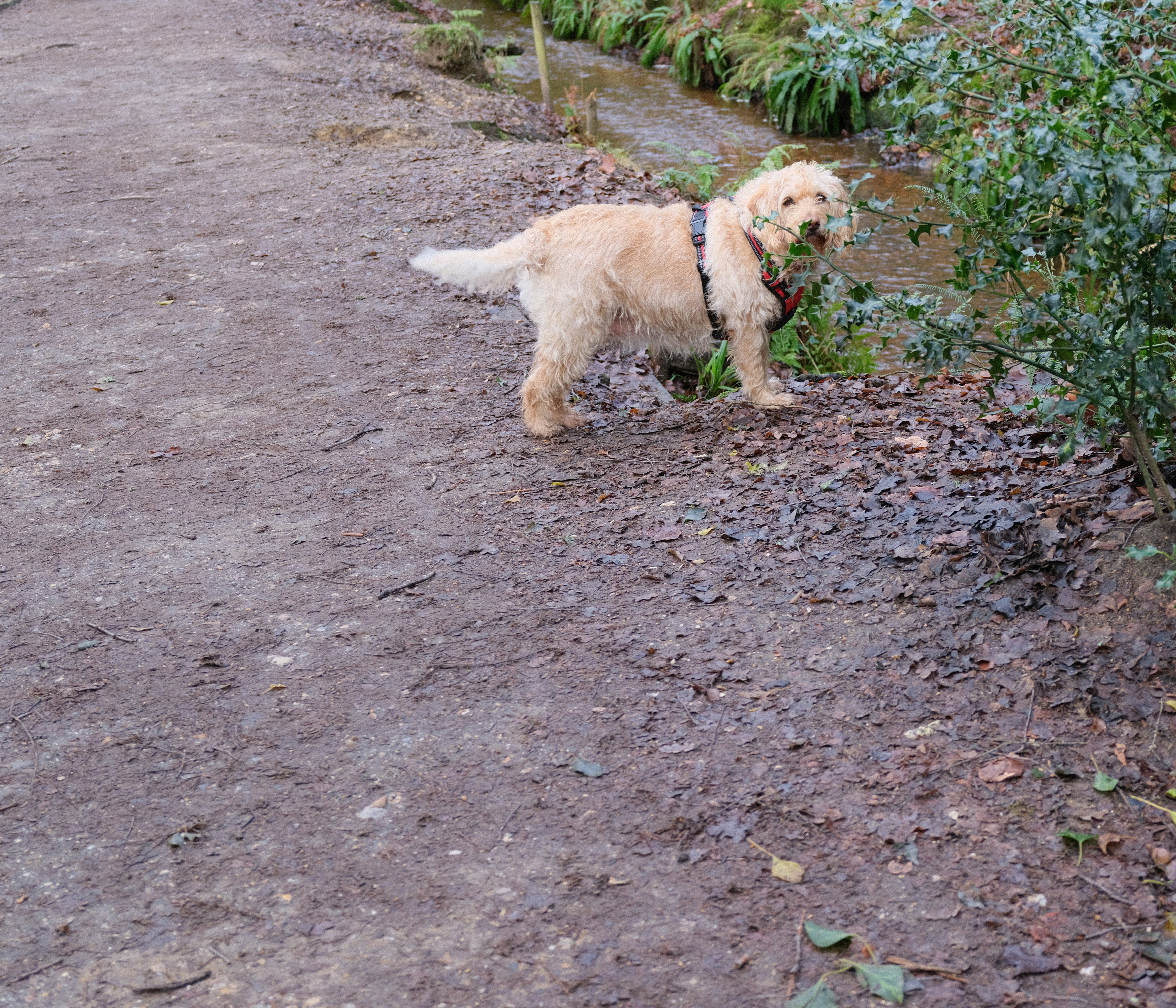 Photo by tanyabarrow