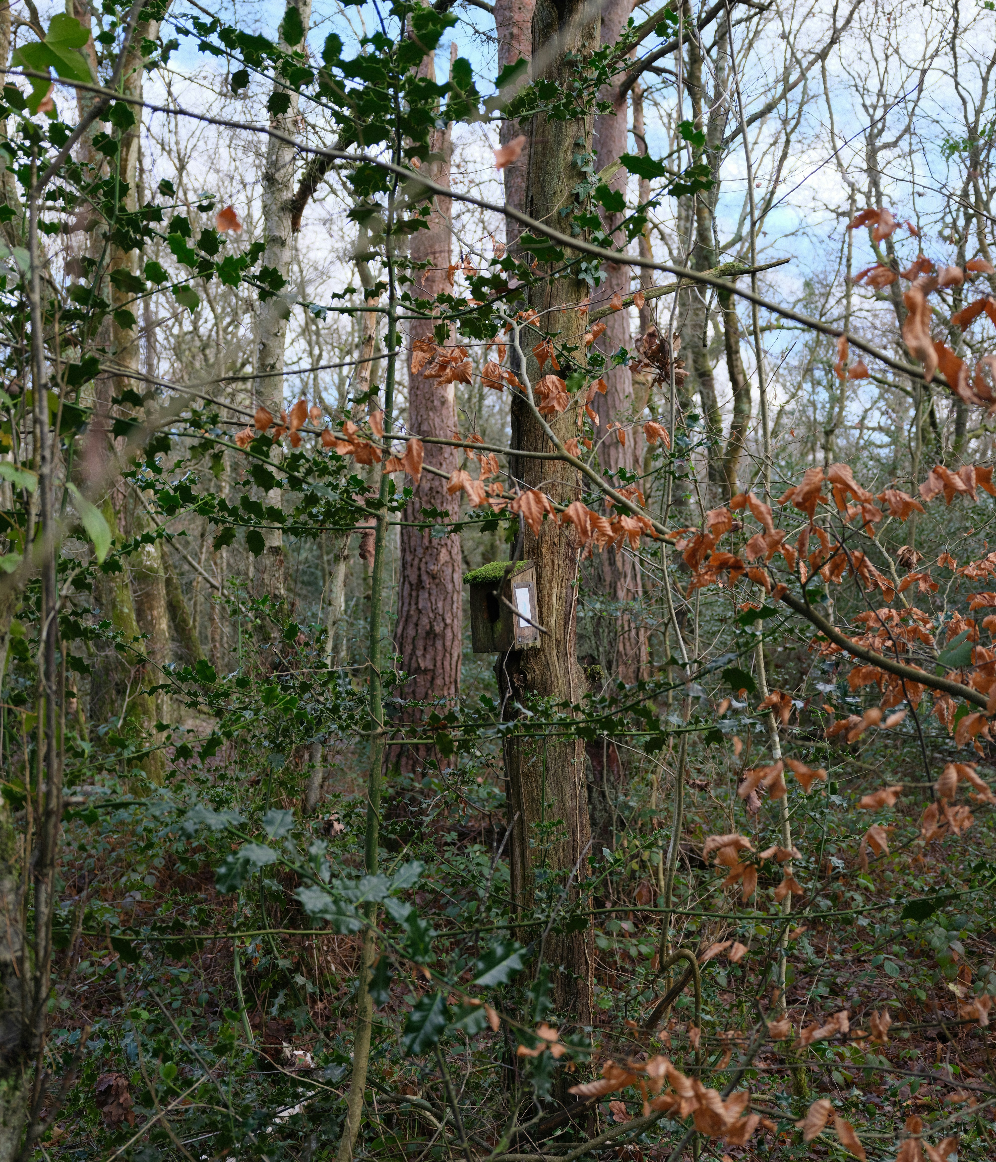 Photo by tanyabarrow