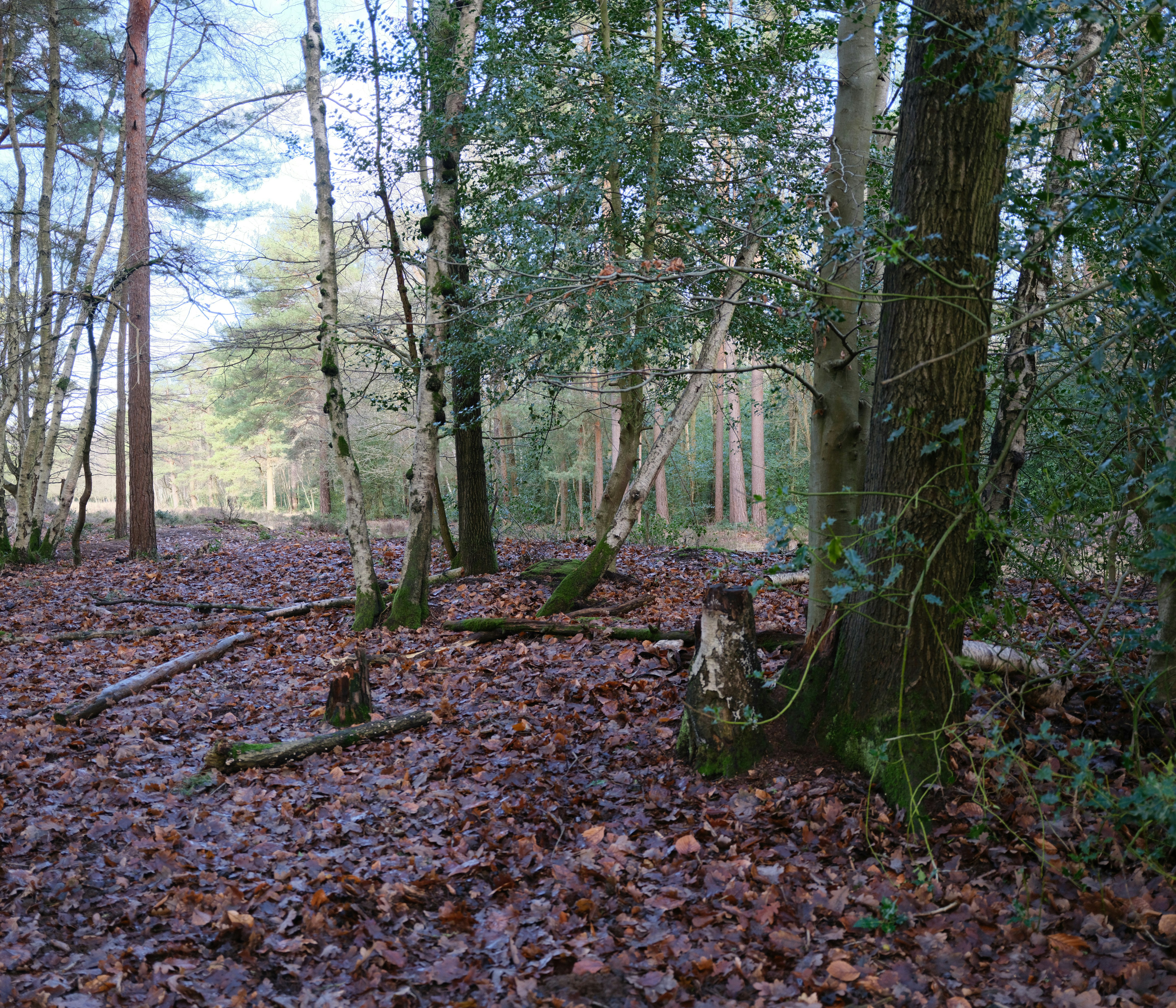 Photo by tanyabarrow