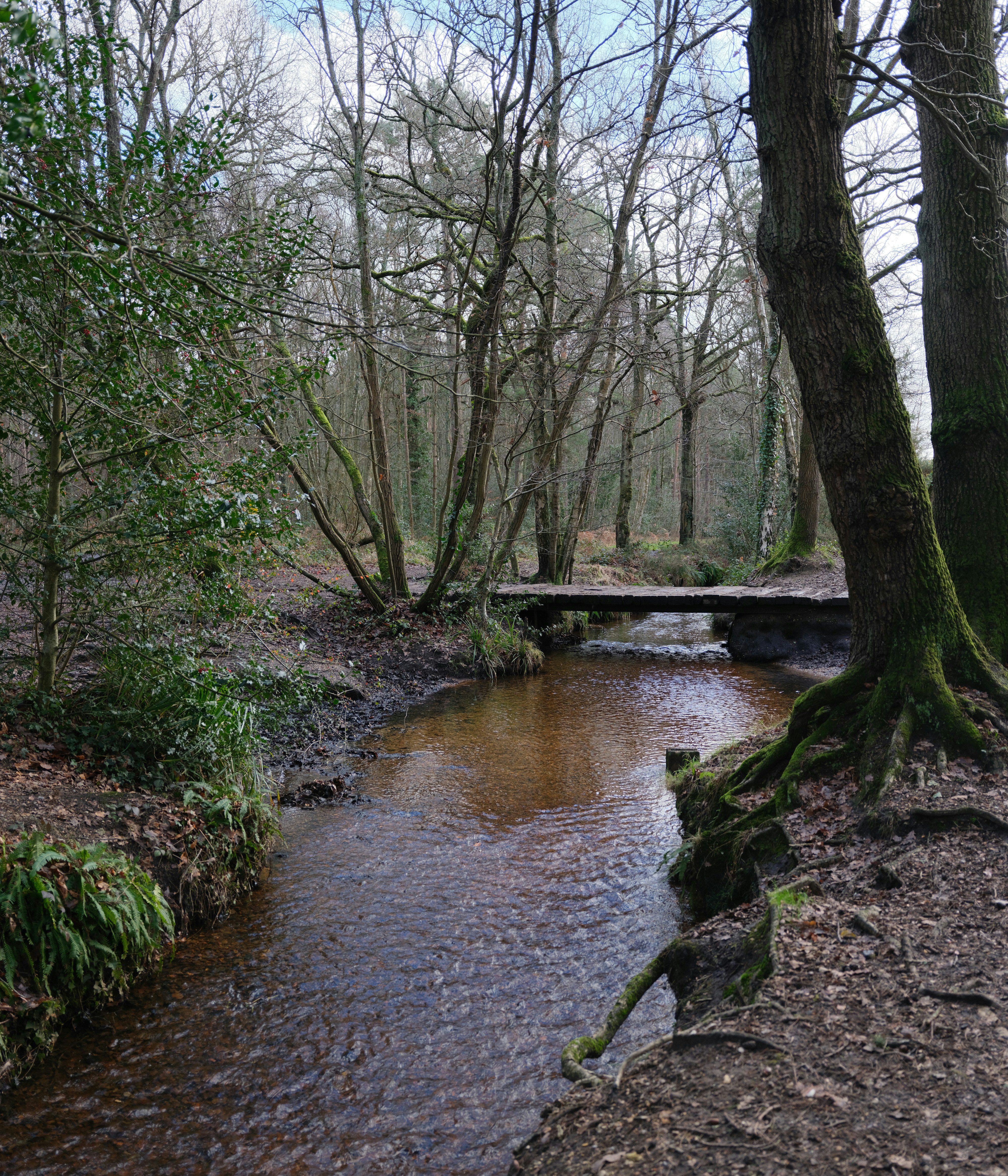 Photo by tanyabarrow