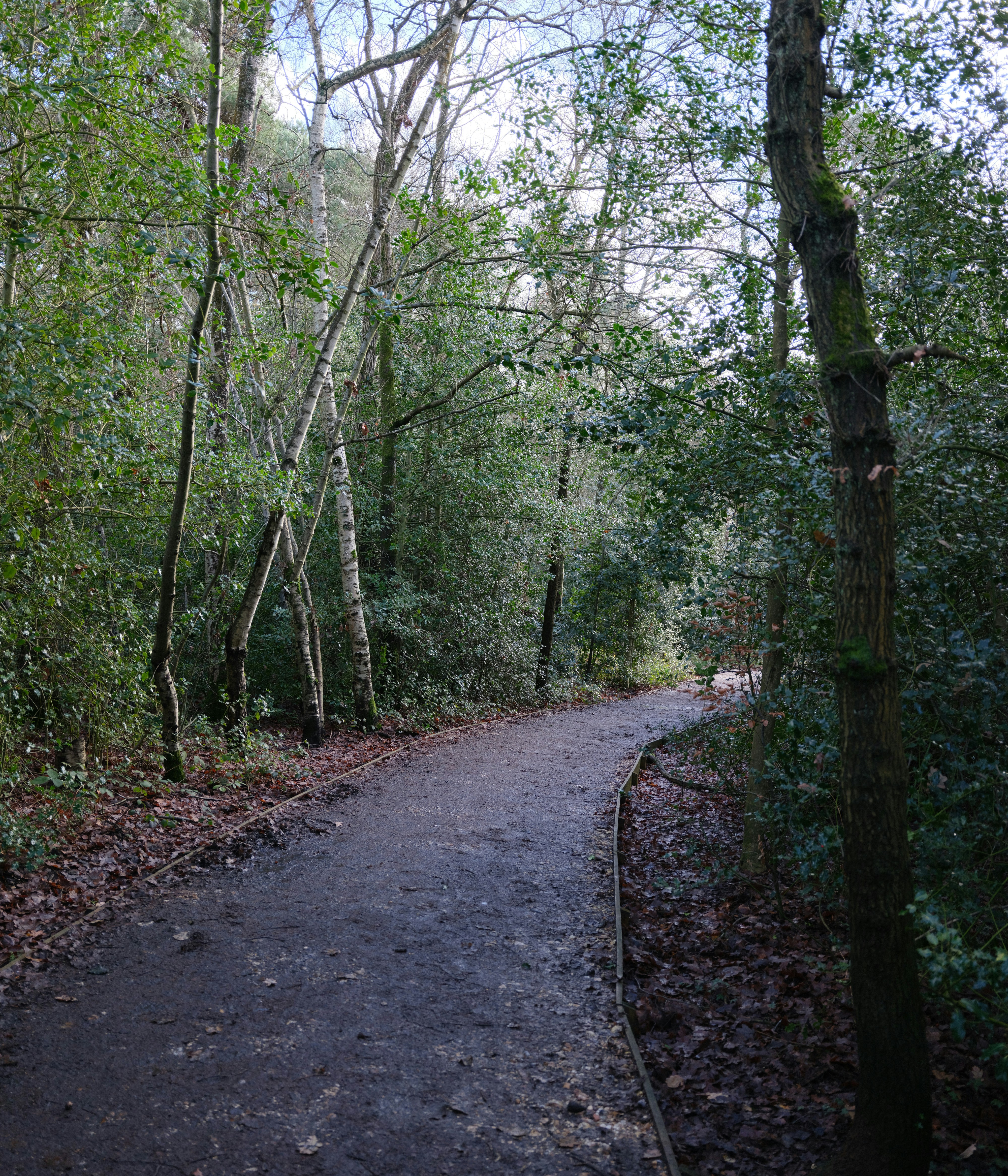 Photo by tanyabarrow